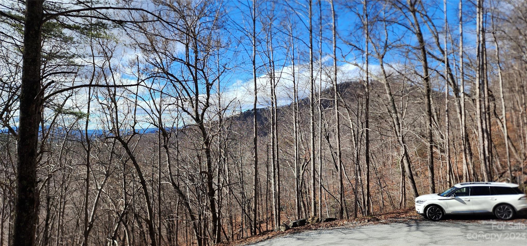 Pinnacle Ridge - Land