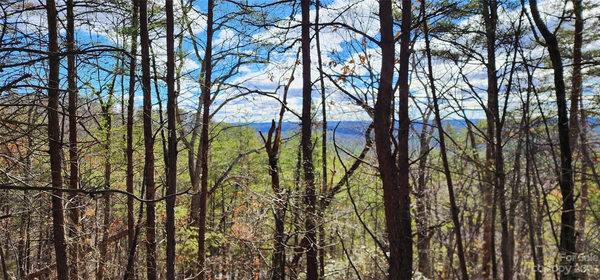 Pinnacle Ridge - Land