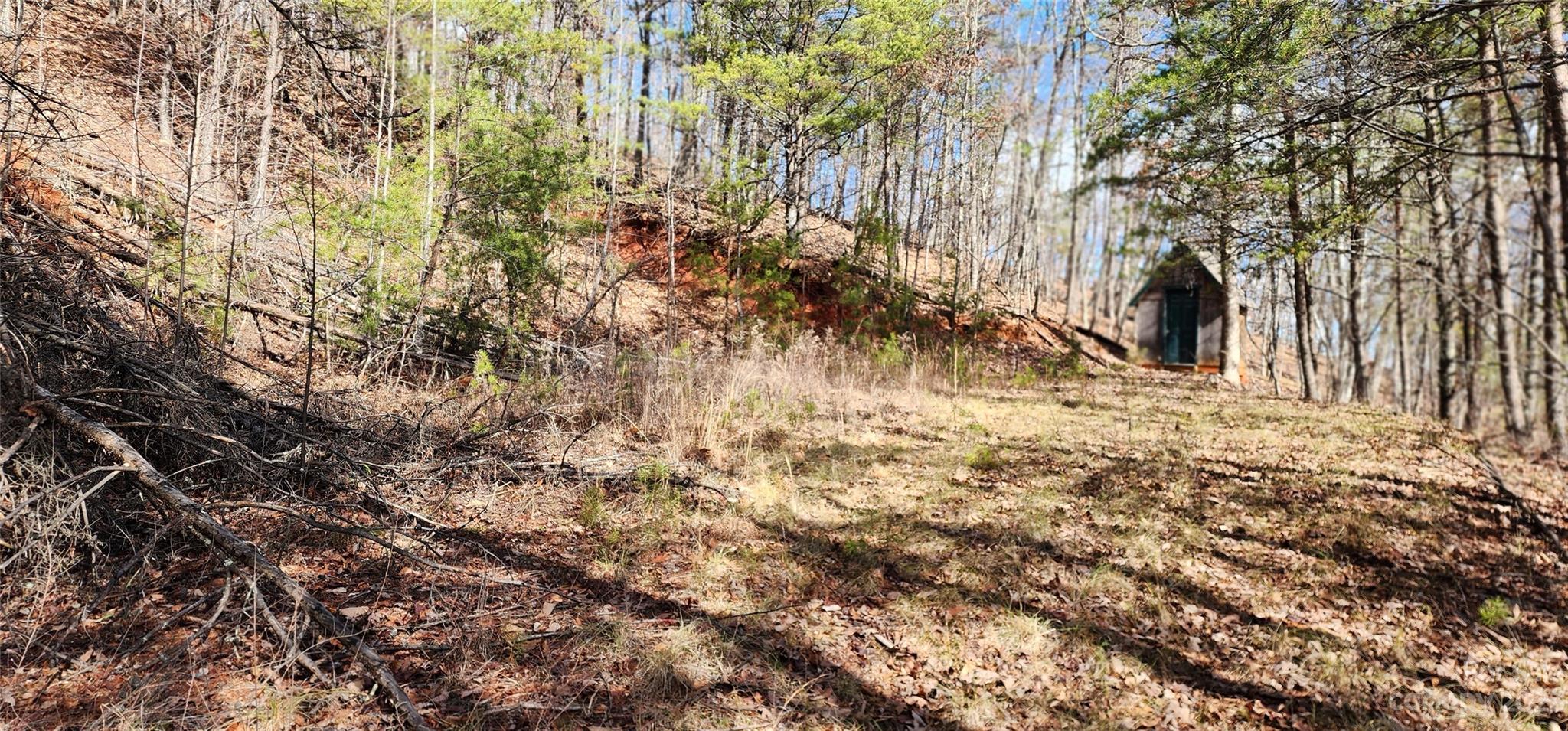 Pinnacle Ridge - Land