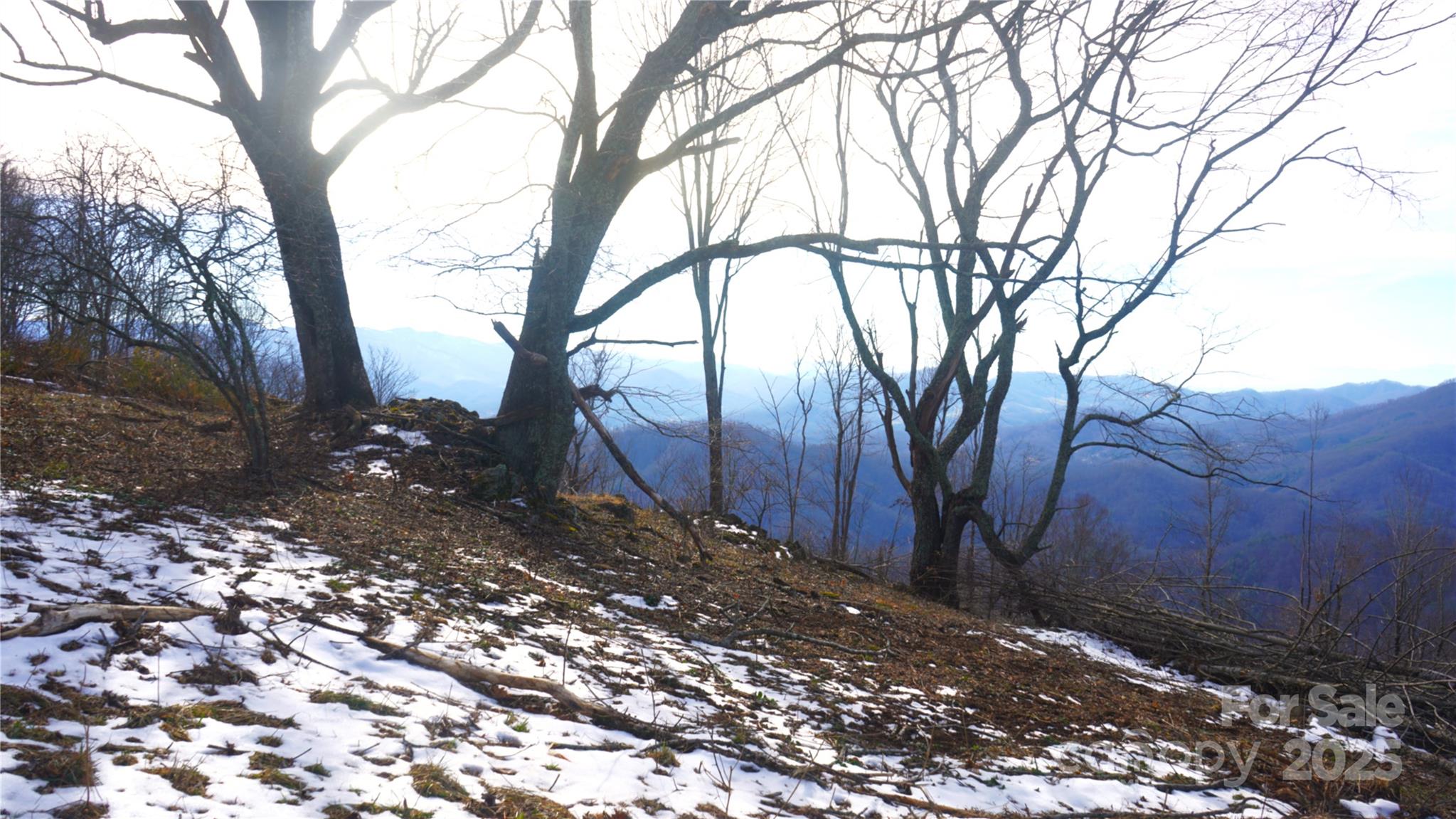 Located in northwest Yancey County, a magnificent acreage retreat and investment, extremely private, at the end 
 of state roads. A pristine mountain cove property, at the head of two watersheds, with exceptional long-range,
 layered, high elevation panoramic views. Hardwood forests with high elevation meadows, head water springs,                     wildlife and ultimate privacy. 
 Shown by appointment only to well qualified prospects. Restricted, not a development property. Cash or owner           financing only. Perfect for conservation easement, one or two homes or mountain top lodges. Truly a superlative mountain legacy property.
 Contact listing agent for all showings.  NO DRIVE BYS.