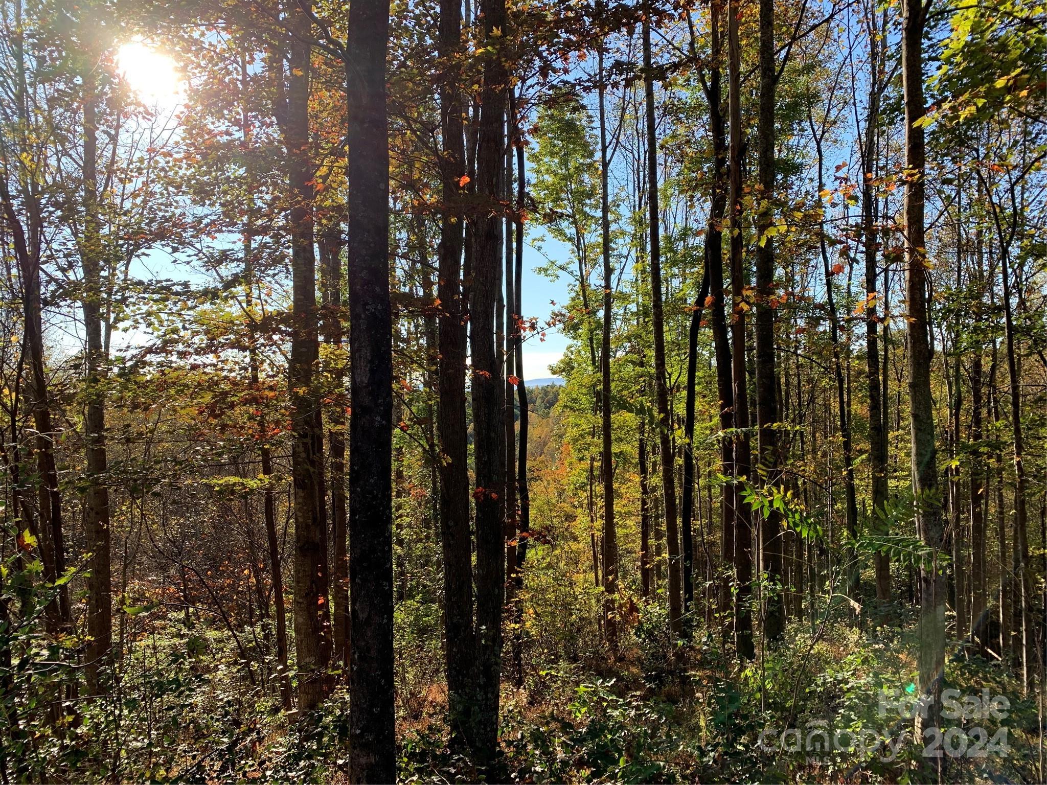 Come build. your dream home. This lot has easy access to entrance and exit of the coves. A community that makes you feel welcome with lots of monthly social activities that you can join in on. hike trails, club house with a pool, fitness room and wonderful view to enjoy, there is pickle ball courts, community garden as well.
