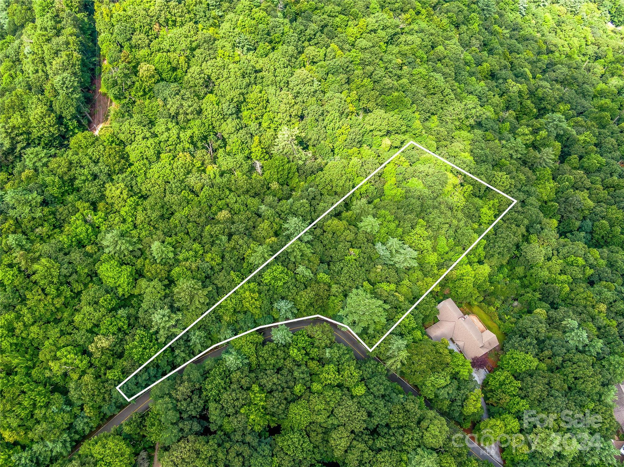 Lake Toxaway Estates - Land