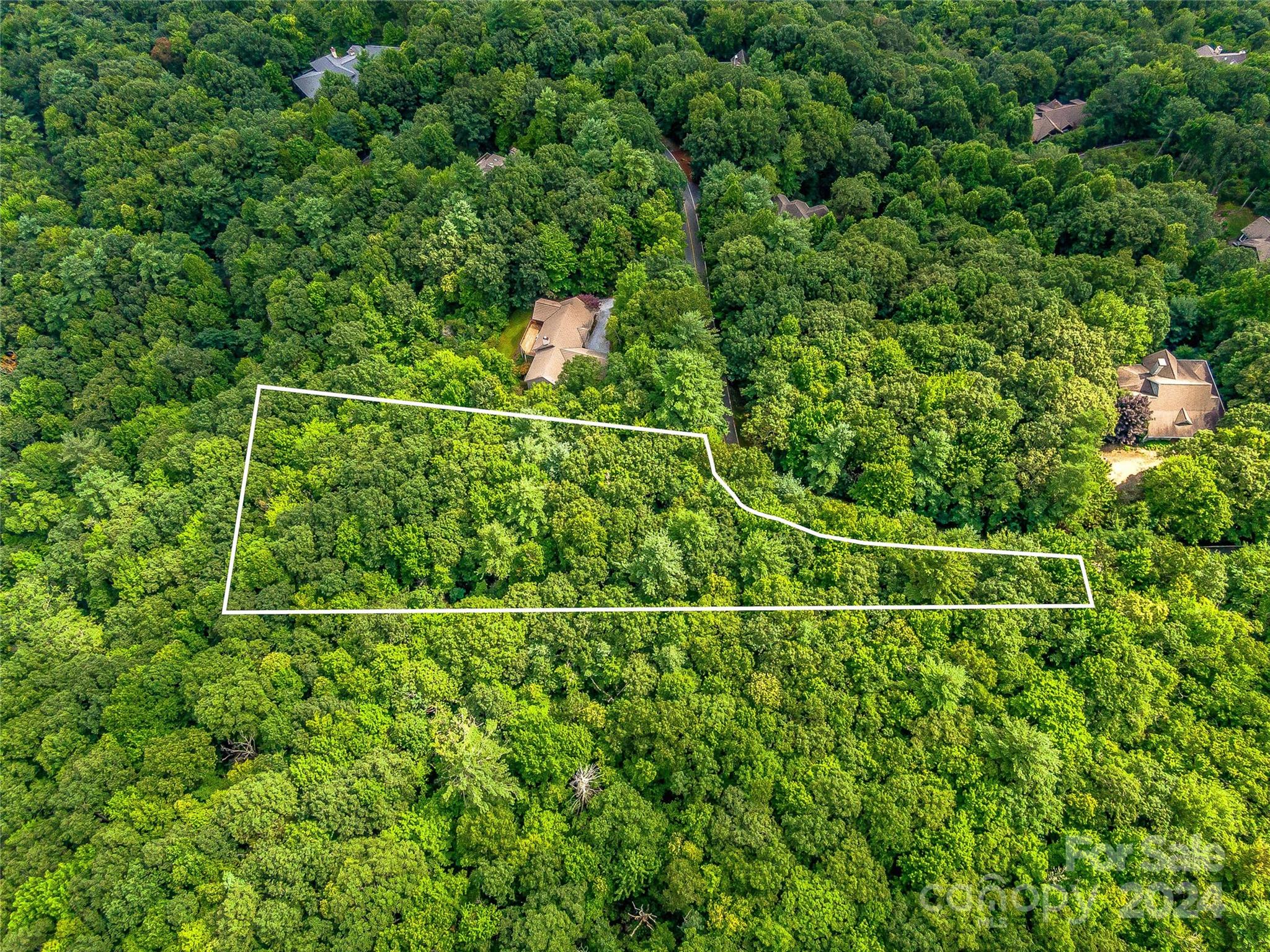 Lake Toxaway Estates - Land