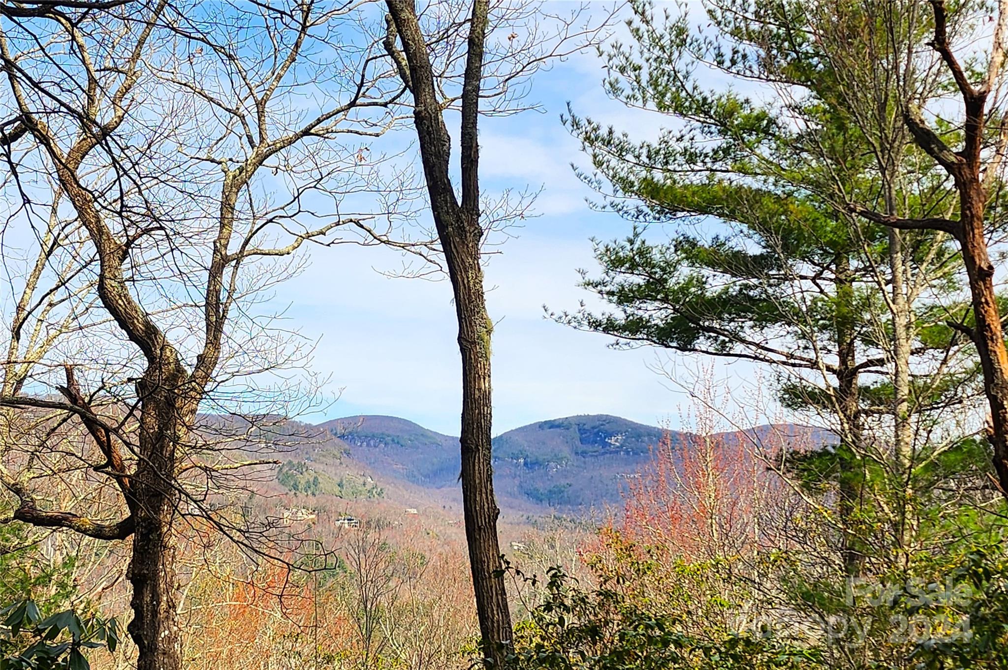 Are you looking for a reasonably priced lot, with a great view and location to match, in the Lake Toxaway Estates?  Look no further!  This 1.28 acre lot is tucked away just off Lakeside Trail, which is situated between the main entrance of the Estates and the Lake Toxaway Country Club.  Located near the top of Lakeside Mountain, this lot has a gentle entryway to the proposed building site with forests surrounding that will provide ample privacy and solitude to perfectly fit your home building needs.