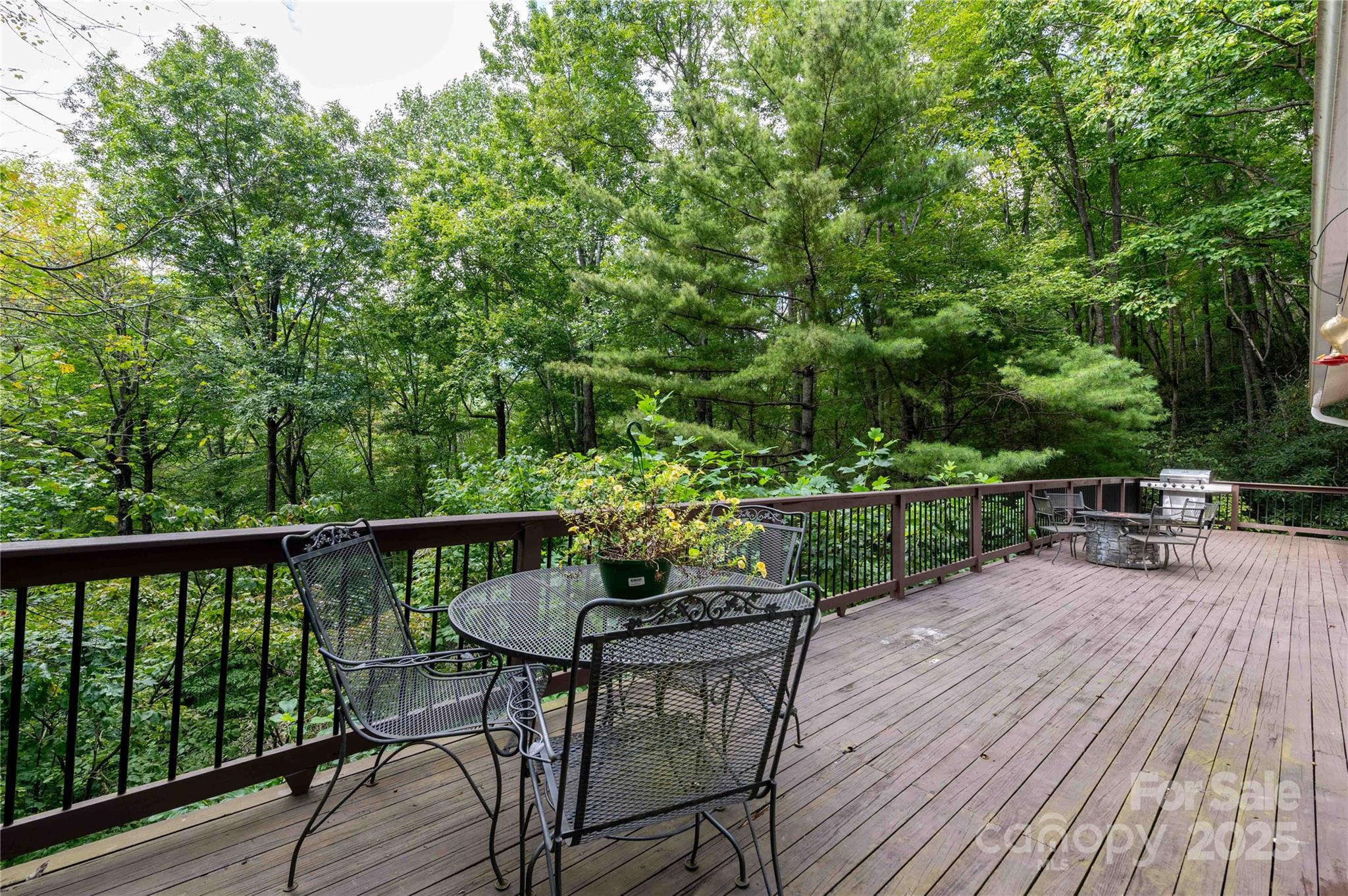 Mount Mitchell Lands - Residential