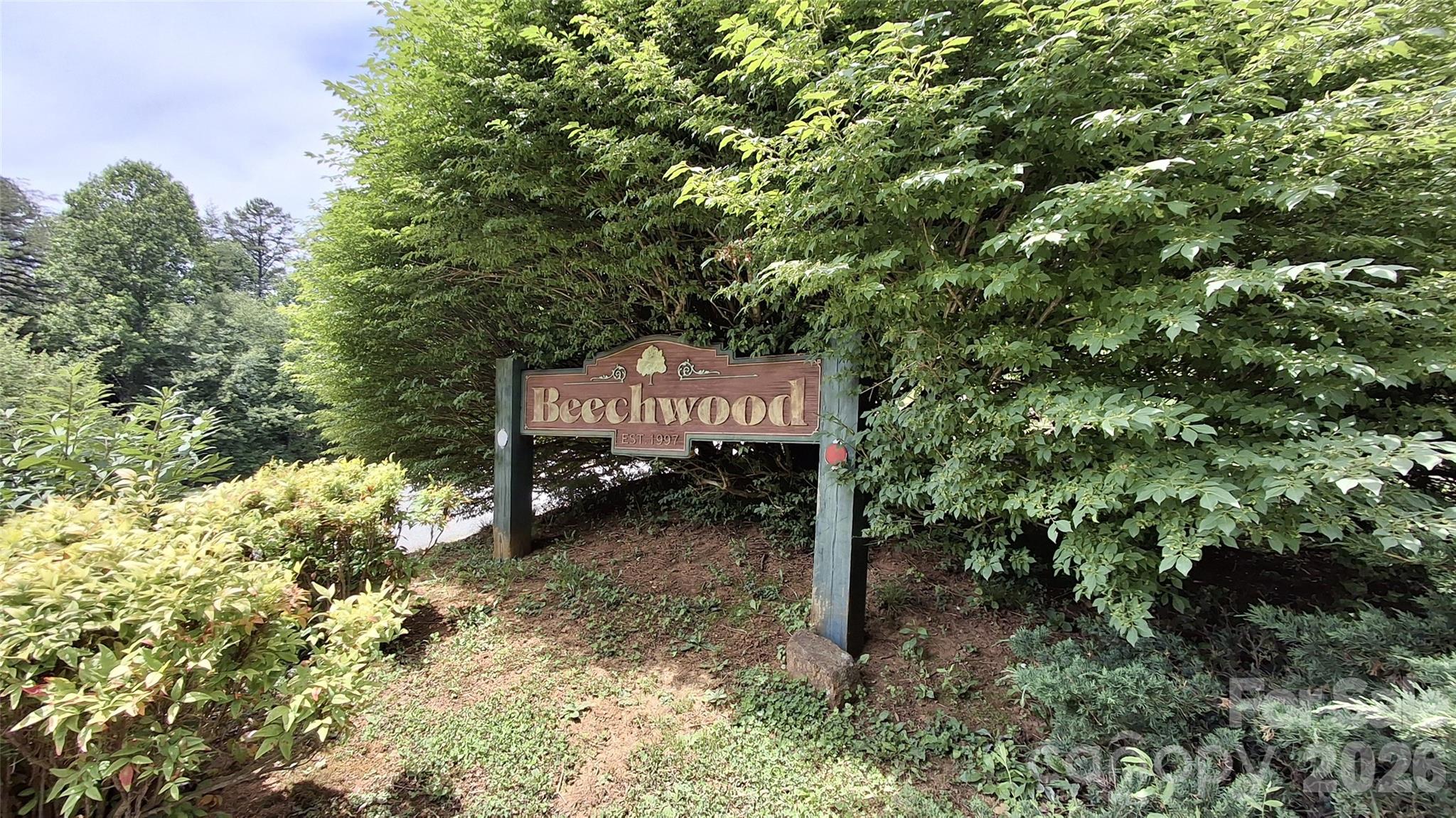 Beechwood - Land
