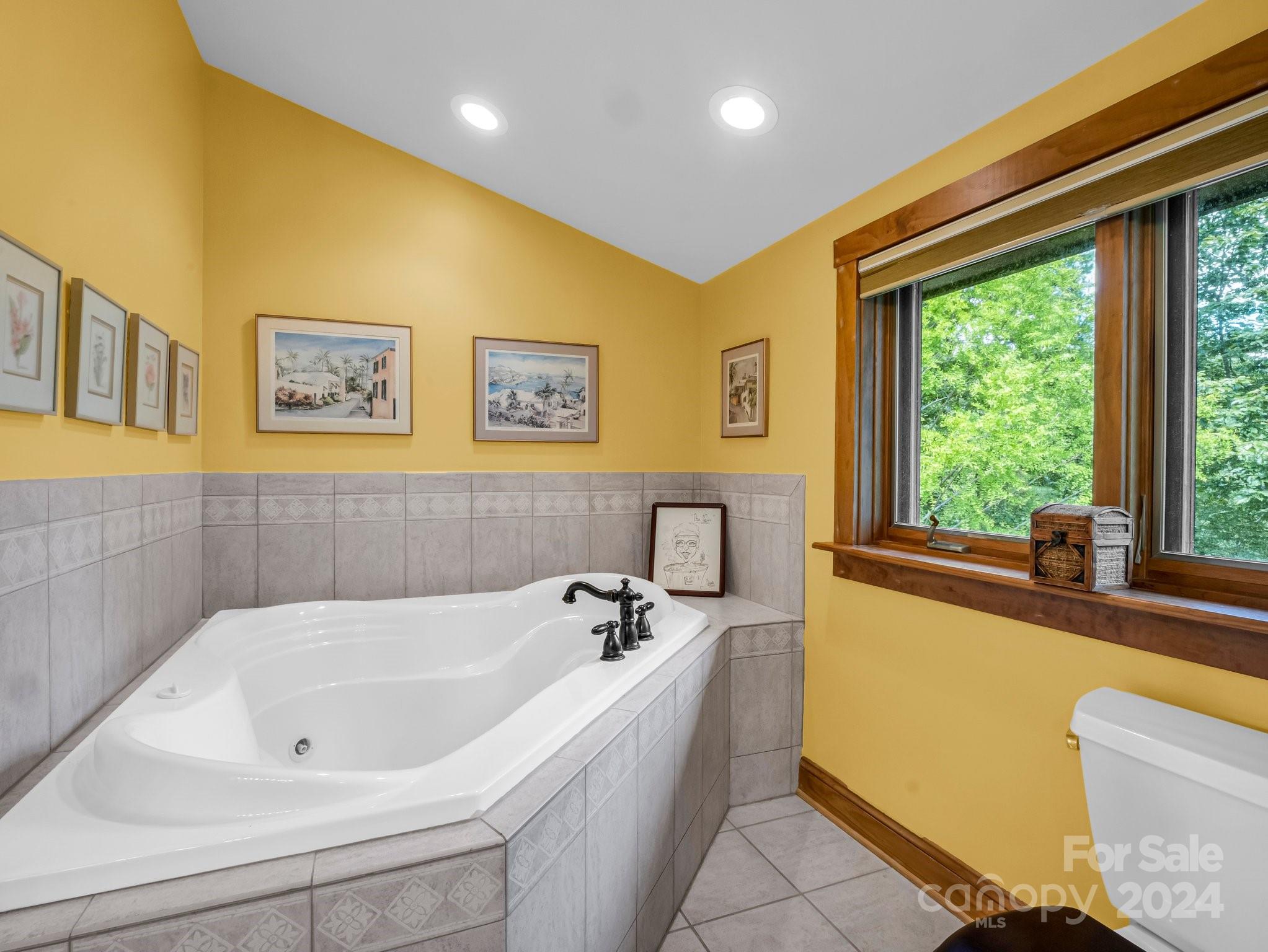 Rumbling Bald on Lake Lure - Residential