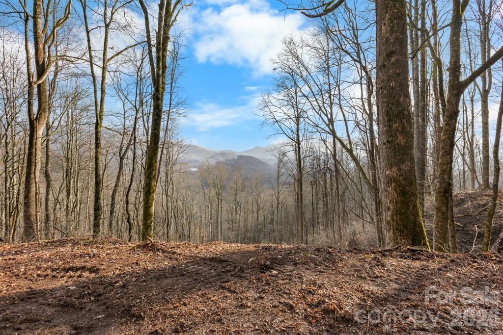 Motivated seller! Price Reduced! Unrestricted Mountain Retreat – Convenient location to Waynesville and Sylva-Over 4 Acres with Septic & Well Permits!

Discover the freedom and possibility of this 4+ acre parcel nestled in the heart of Western North Carolina. With unrestricted land, a 4-bedroom septic permit and well permit already on file, this property is primed for your vision—whether it’s a private mountain estate, vacation getaway, or investment opportunity.

Enjoy the roughed-in driveway and hiking trails that wind through the property—just a bit of clearing will reveal their full potential. With selective clearing, you can open up mountain views while preserving the natural beauty and privacy of the land.

Located in a peaceful setting with no HOA and no deed restrictions, this land offers the rare chance to build exactly what you want, how you want. Whether you're dreaming of a cozy cabin, a modern retreat, or simply a place to escape and explore, this property is ready to make it happen.

Your mountain dream starts here.