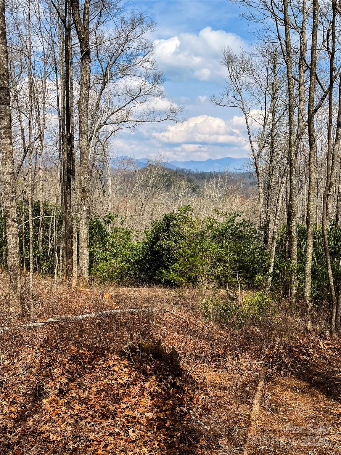 Richland Ridge - Land