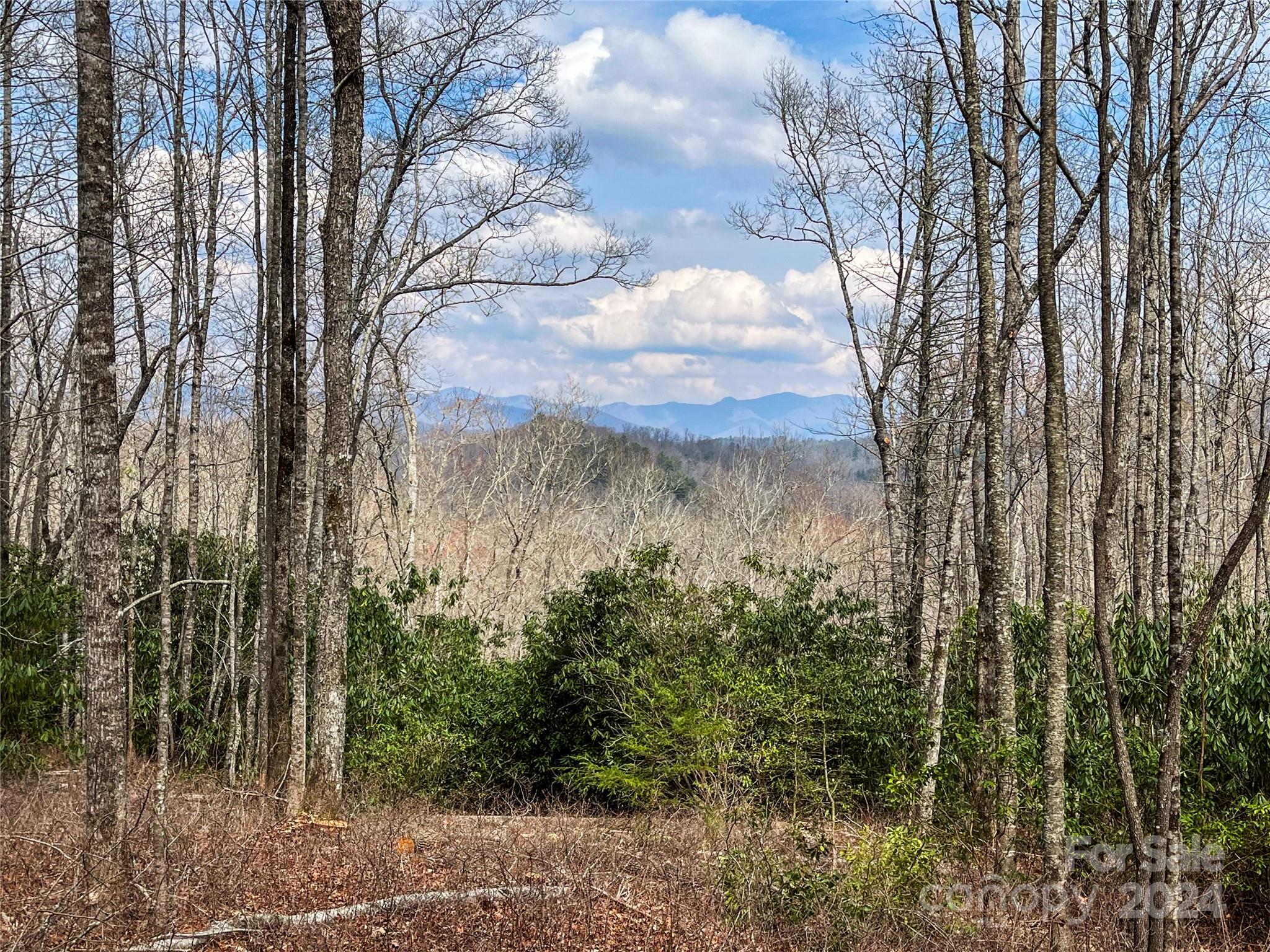 Richland Ridge - Land