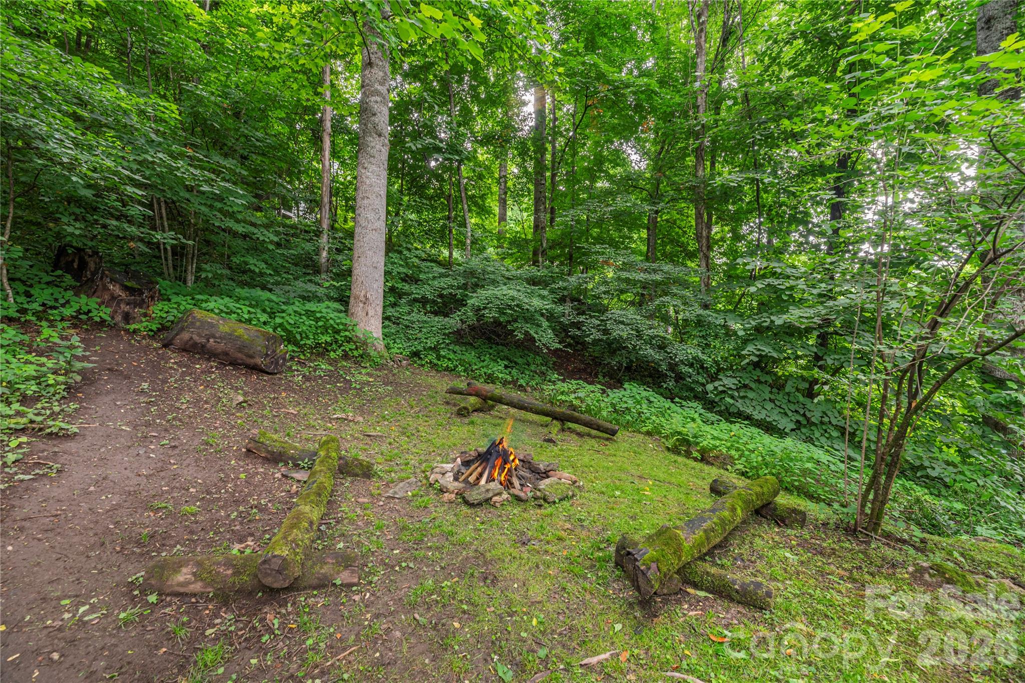 Hemlock Forest - Residential