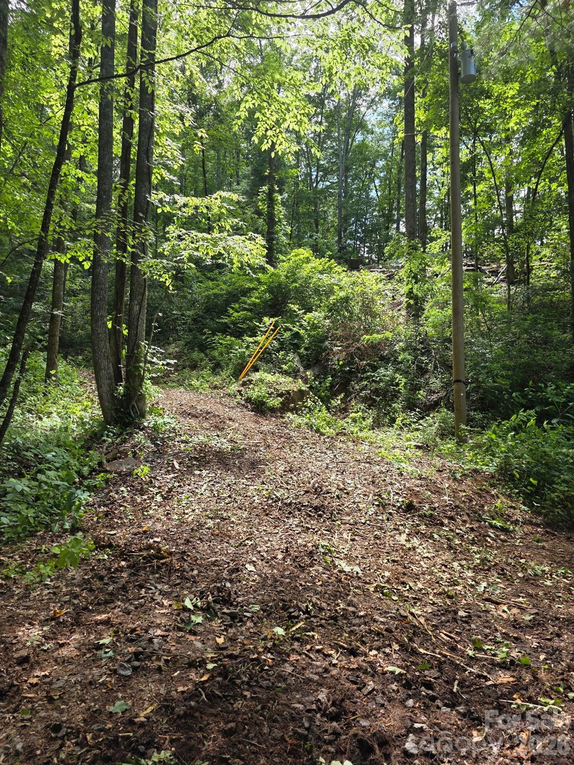 Enchanted Forest - Land