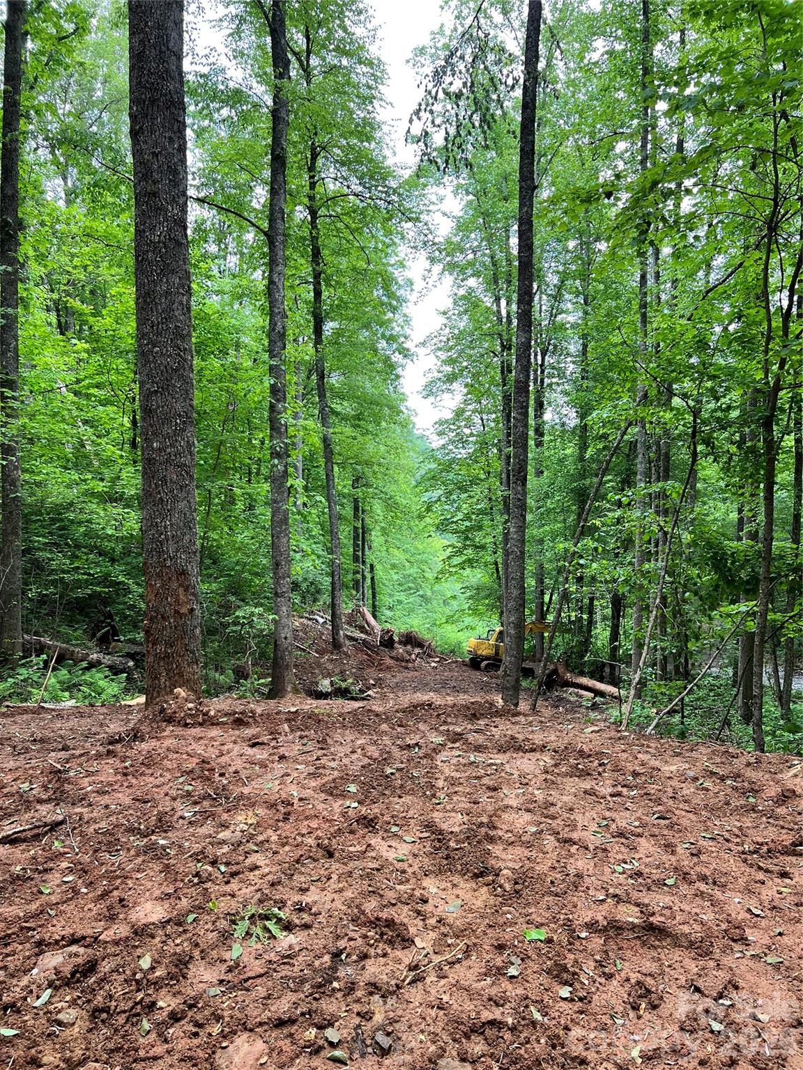 Pre-developed lot with creek, gravel and septic permit in the popular Enchanted Forest Subdivision. This parcel is at 3,200' in the beautiful Smoky Mountains but only minutes to Sylva, Franklin and the Great Smoky Mountain National Park. There's fishing to be had in the creeks along Pumpkintown Road with stocking occurring north of Chestnut Creek Road. The seller has spent an excess of $30,000 in improvements to this lot to date and the septic permit is still good to go.