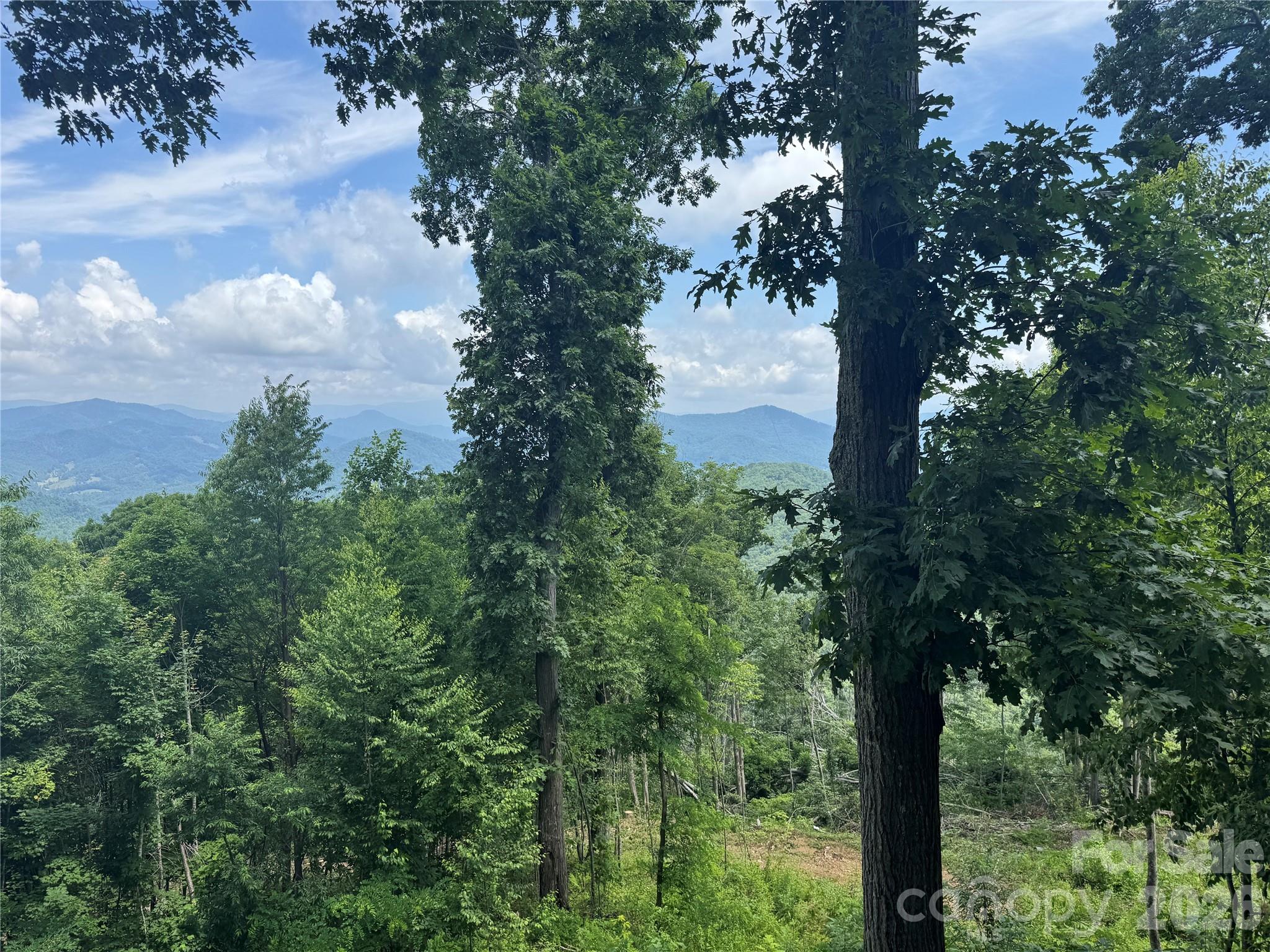 Mountain Air - Residential