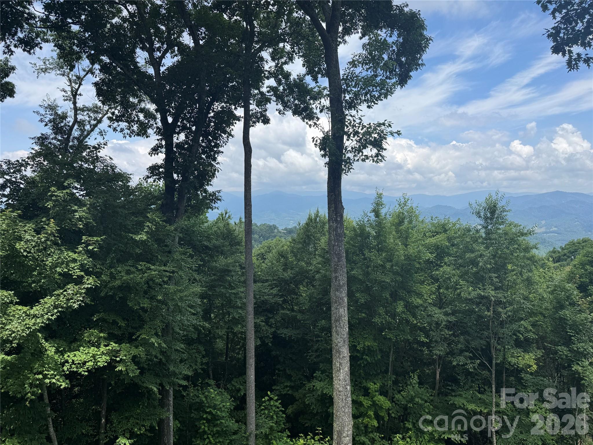 Mountain Air - Residential