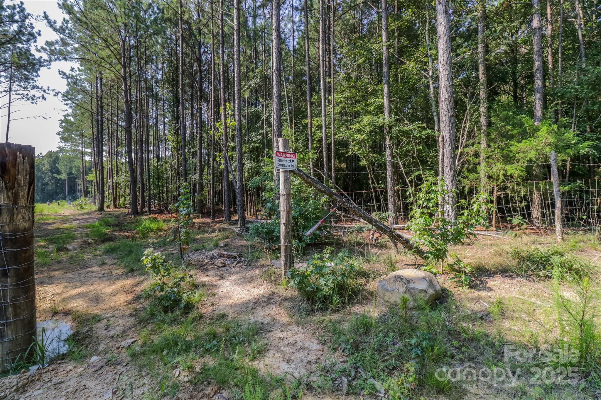 MCCAIN PARK - Land