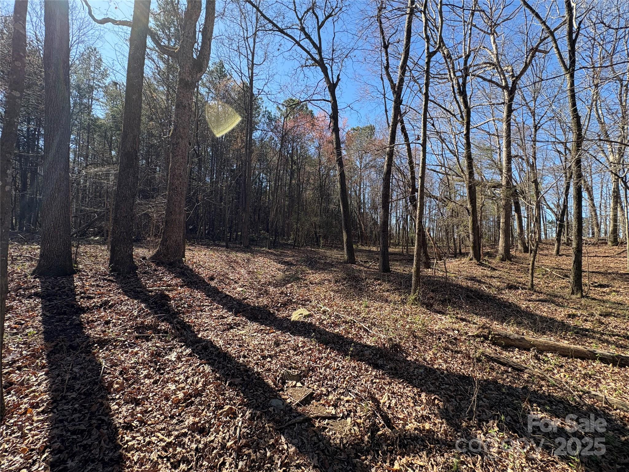 1.71 Acres of peaceful countryside in Union County! Build your dream home, property fronts Ellis Griffin Road, well installed currently, beautiful trees, amazing views all around. Excellent investment. Preliminary survey is complete. Additional land is available for purchase. 1.615 acres outside of right of way. Subject to final approval from DOT and recording. Call for a showing today.