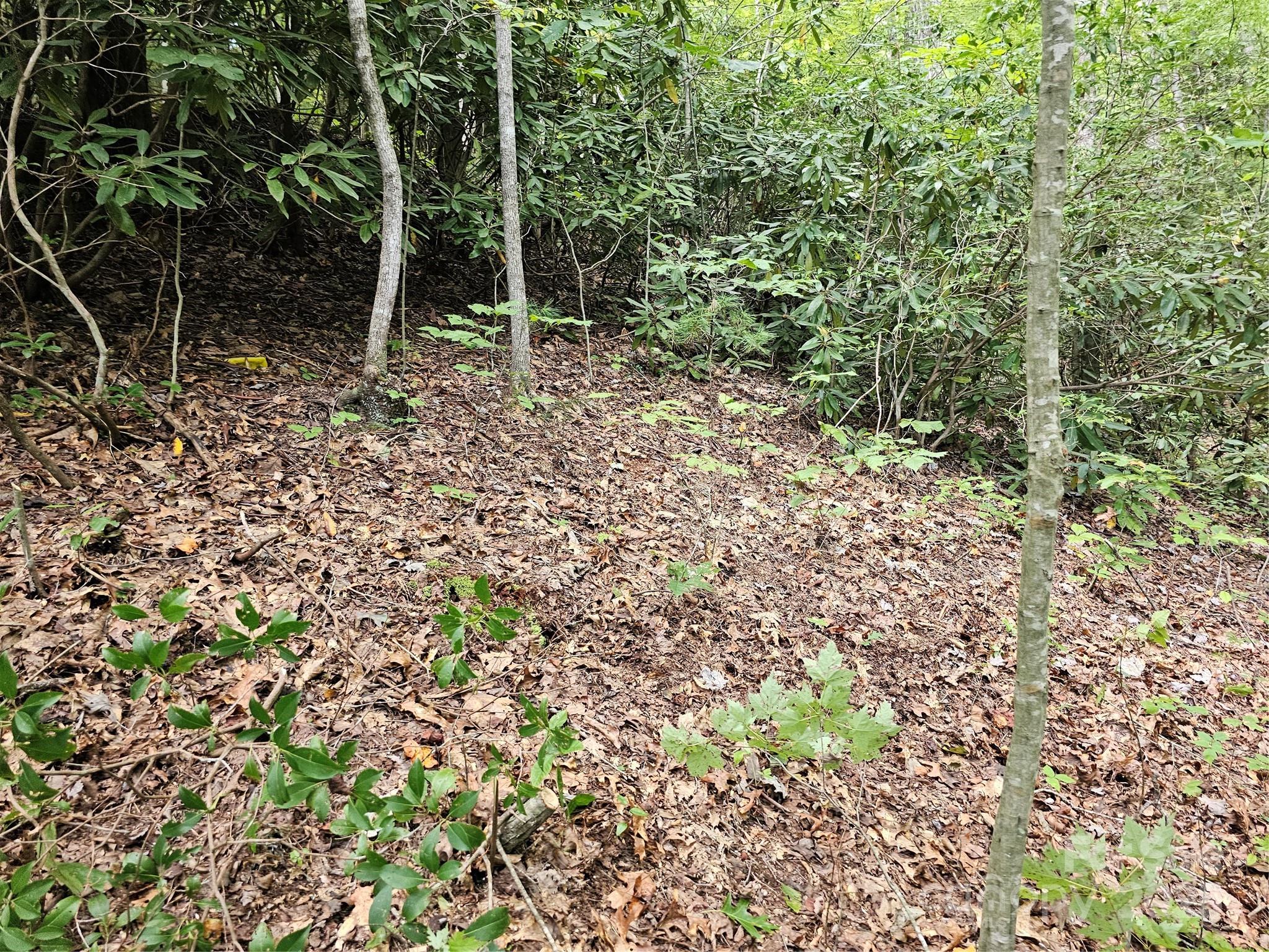 PINNACLE MOUNTAIN VIEW - Land