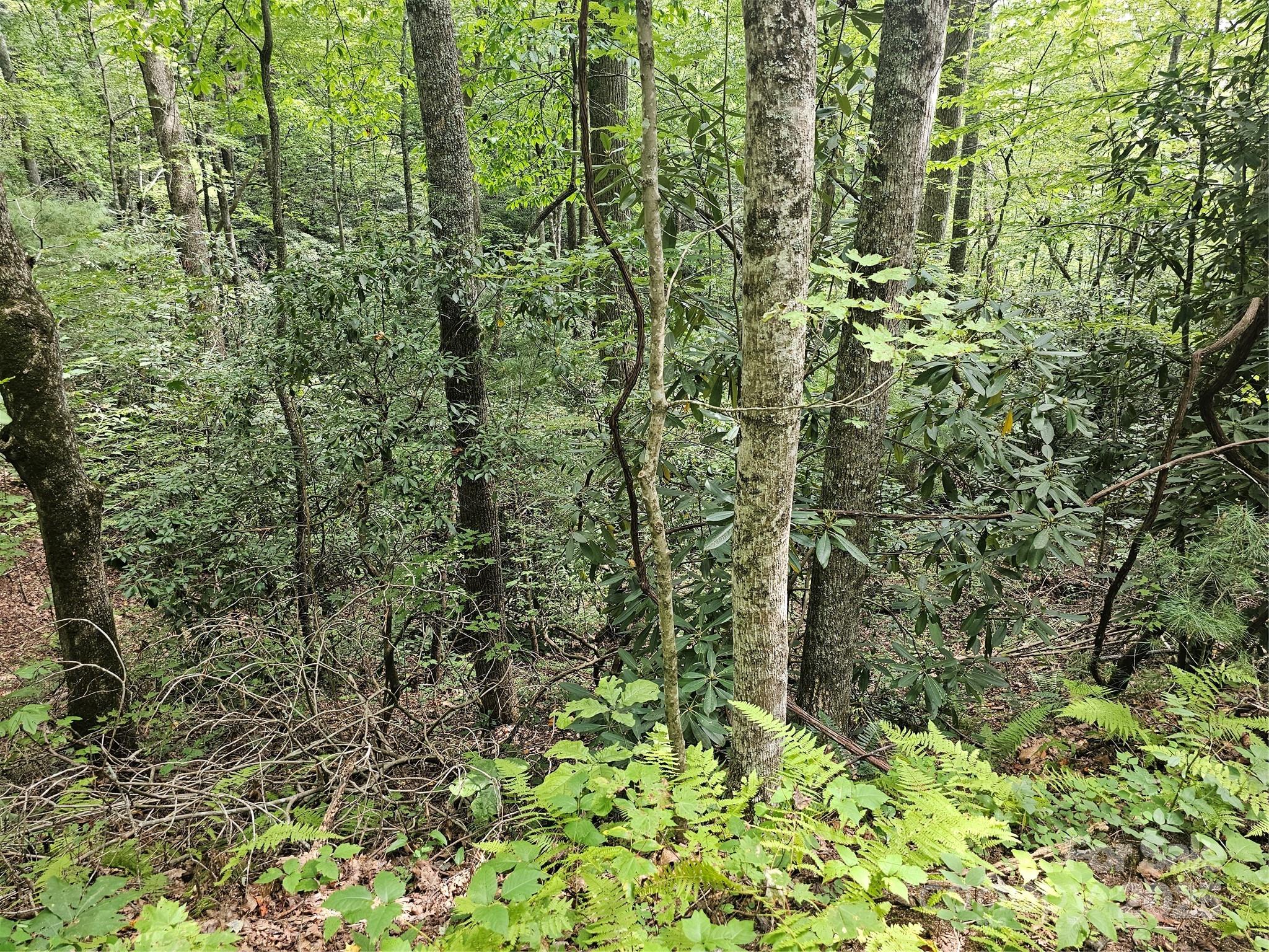 PINNACLE MOUNTAIN VIEW - Land