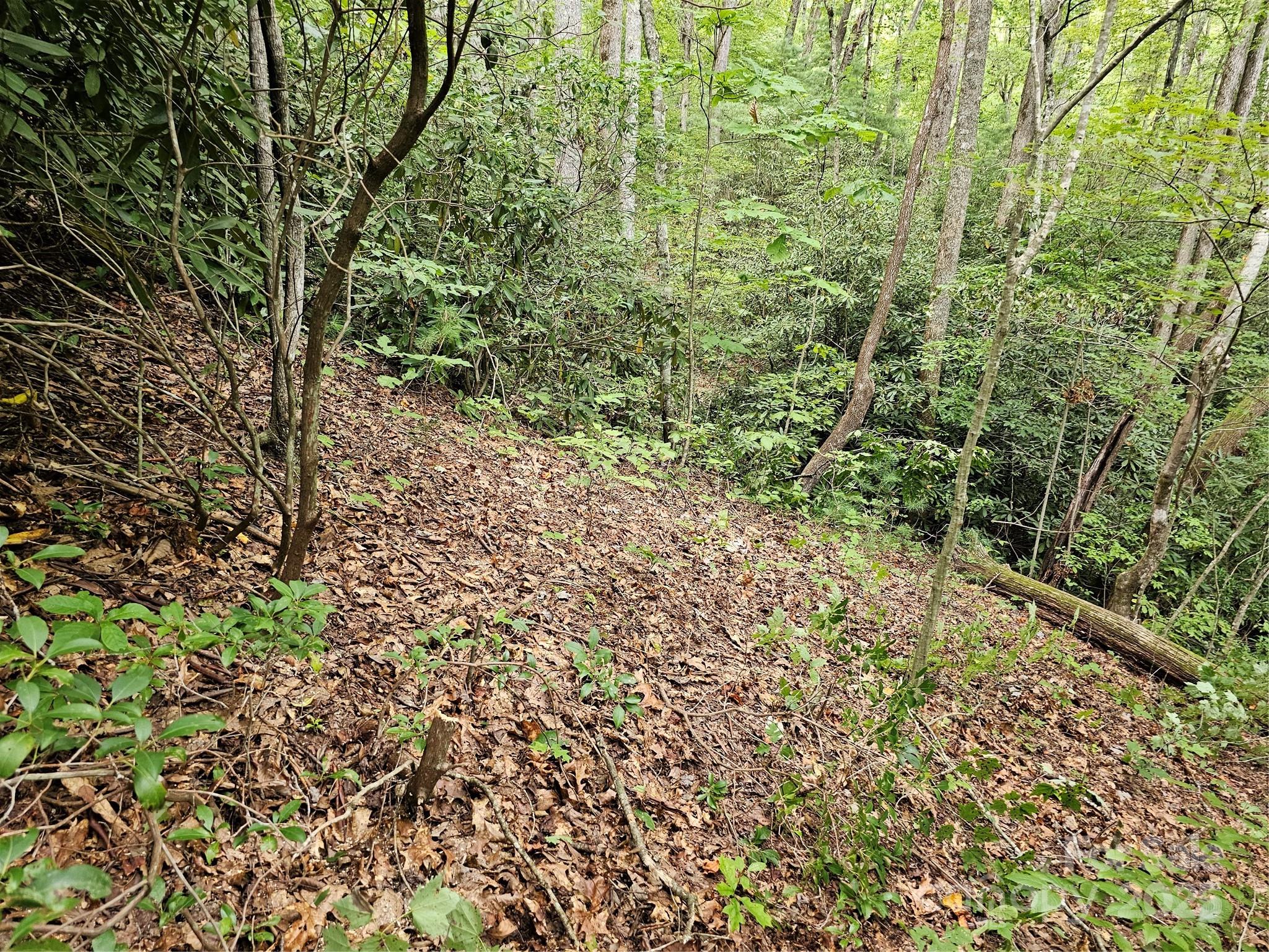PINNACLE MOUNTAIN VIEW - Land