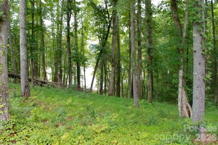 Lake Rhodhiss Estates - Land