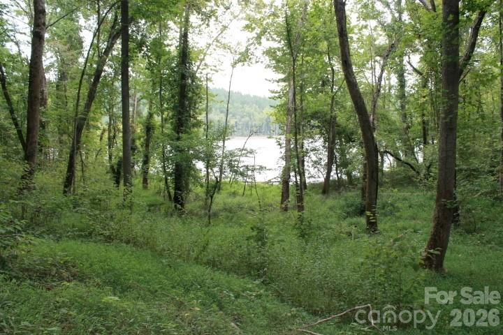 Lake Rhodhiss Estates - Land
