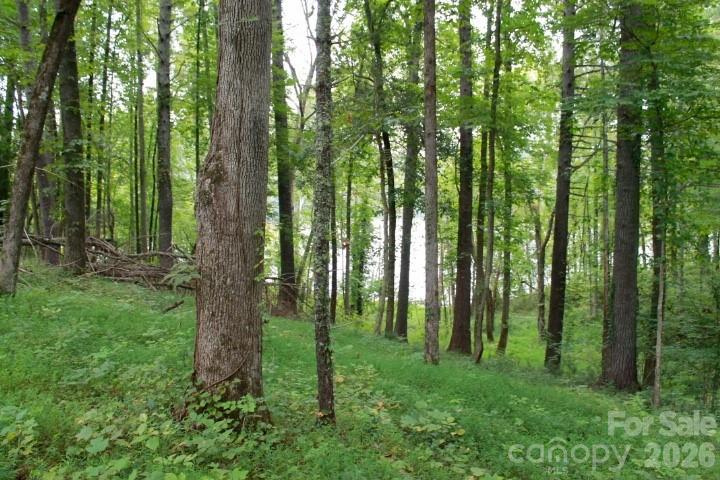 Lake Rhodhiss Estates - Land