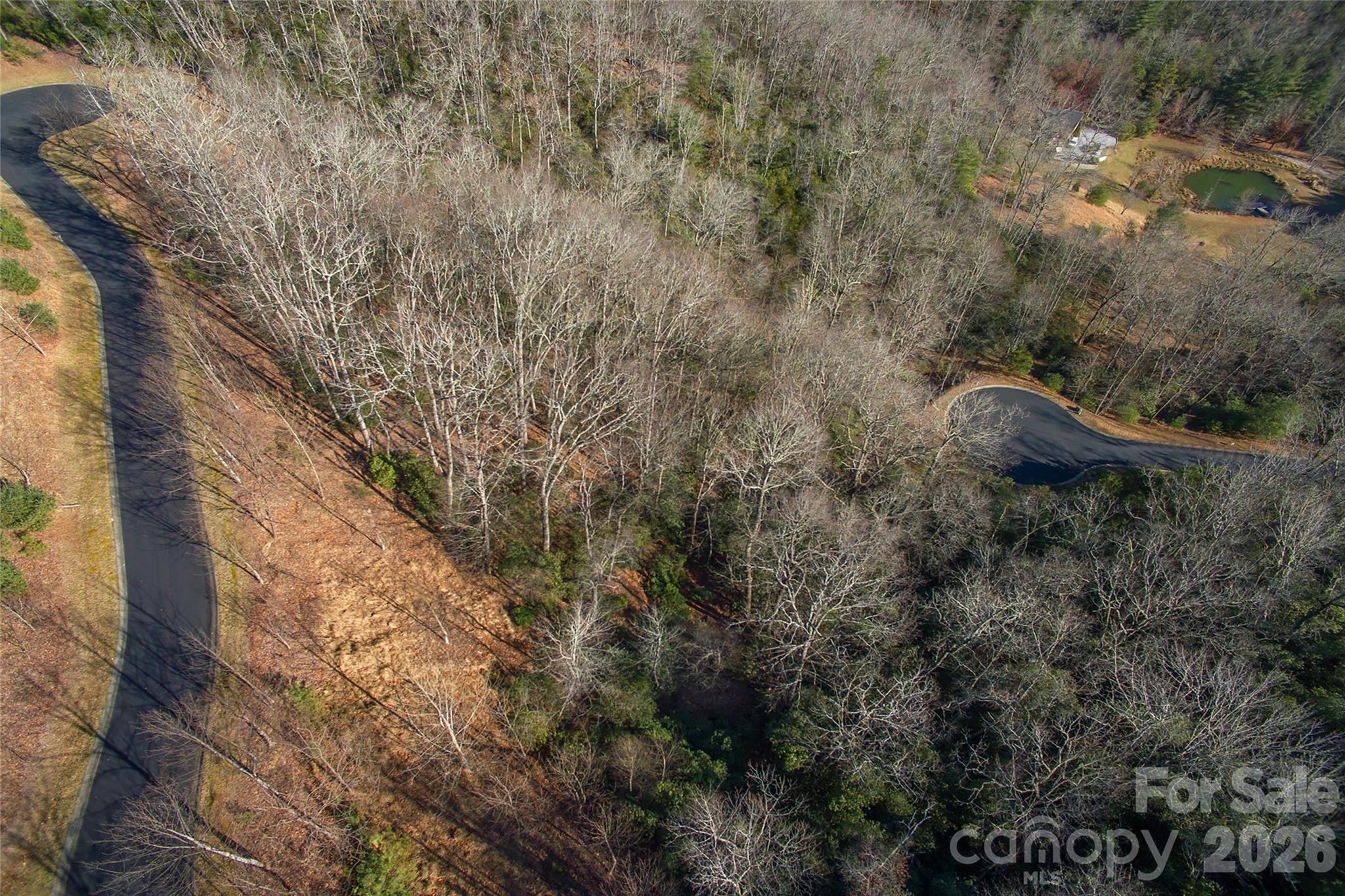 Homestead at Mills River - Land