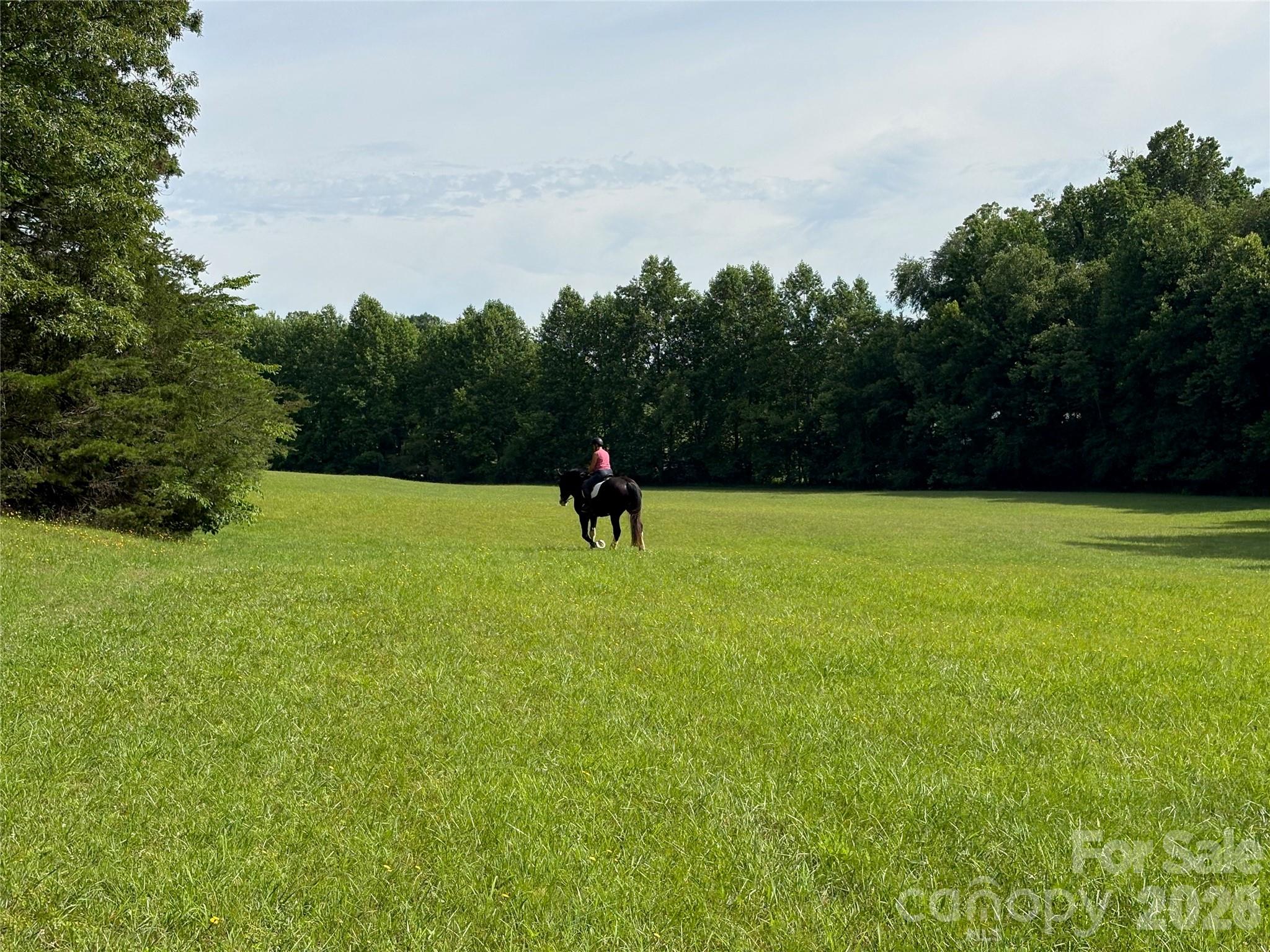 If horses, pastureland, privacy, and direct access to the CETA riding trails are part of your dream, this beautiful property may feel like coming home. Nestled within Green Fields — one of Polk County’s most picturesque and quiet equestrian communities — this newly subdivided 17.3-acre offering captures the essence of peaceful country living.

A welcoming entrance framed by handsome stone columns leads into this intimate horse-centered neighborhood, where gently rolling pastures, charming wooden fencing, and a quiet paved road create a setting of timeless beauty. Located at the very end of the cul-de-sac, the property enjoys exceptional privacy, bordered on one side by 1,636 feet of Collinsville Creek.

The land offers several outstanding homesites, each with its own character and views. Imagine building your home tucked beneath mature hardwoods at the edge of the pasture, overlooking horses grazing peacefully below, or choosing an open setting surrounded by nature and long pastoral views. The deeded CETA trail on the property allows you to ride in every direction for over 50 miles, plus access to about 150 miles of FETA trails just across the road.

Green Fields is cherished for its tranquil atmosphere, natural beauty, and understated character. The community requires a minimum home size of 2,000 square feet, with modest POA dues of only $400 annually.