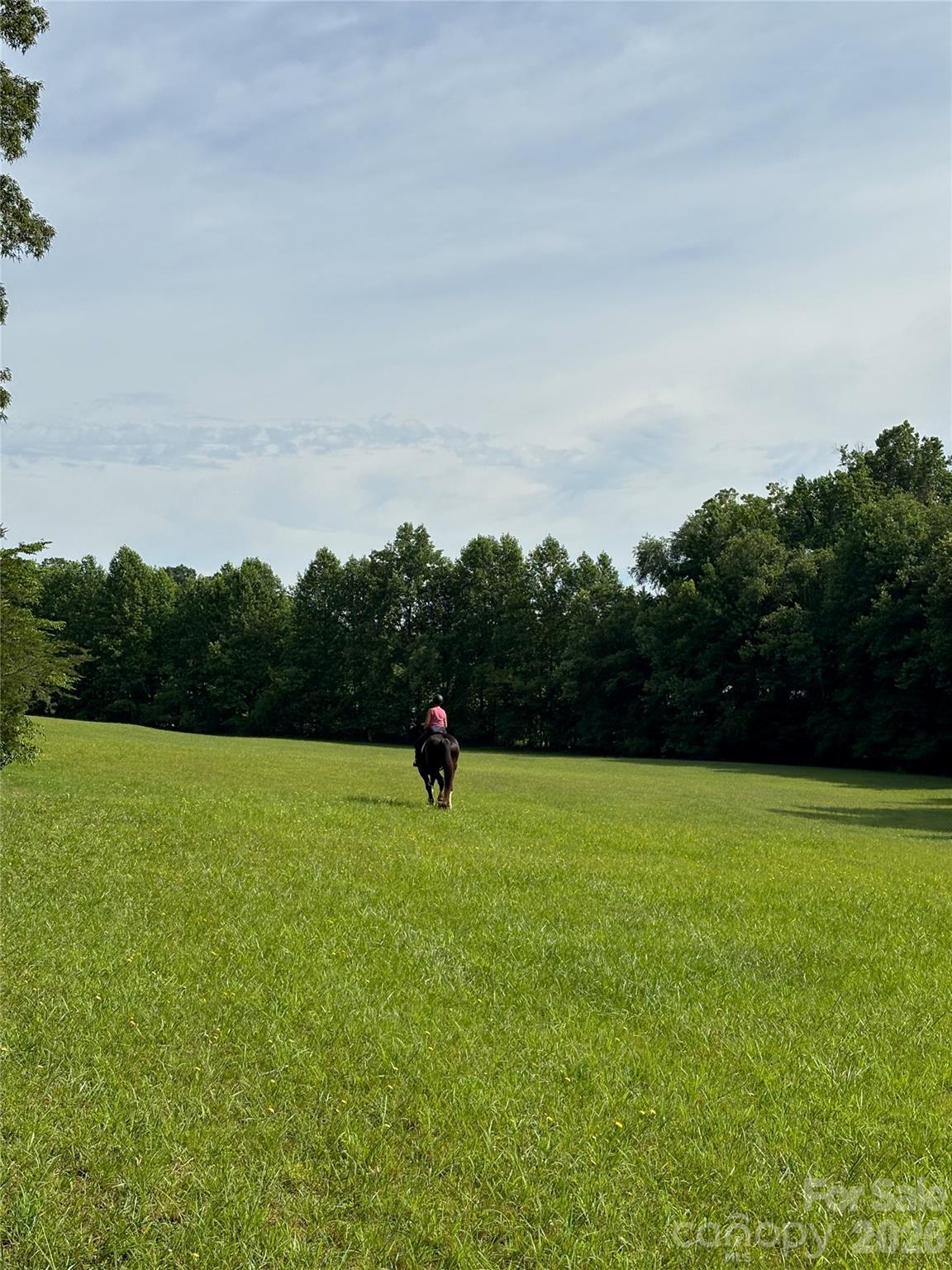 Green Fields - Land