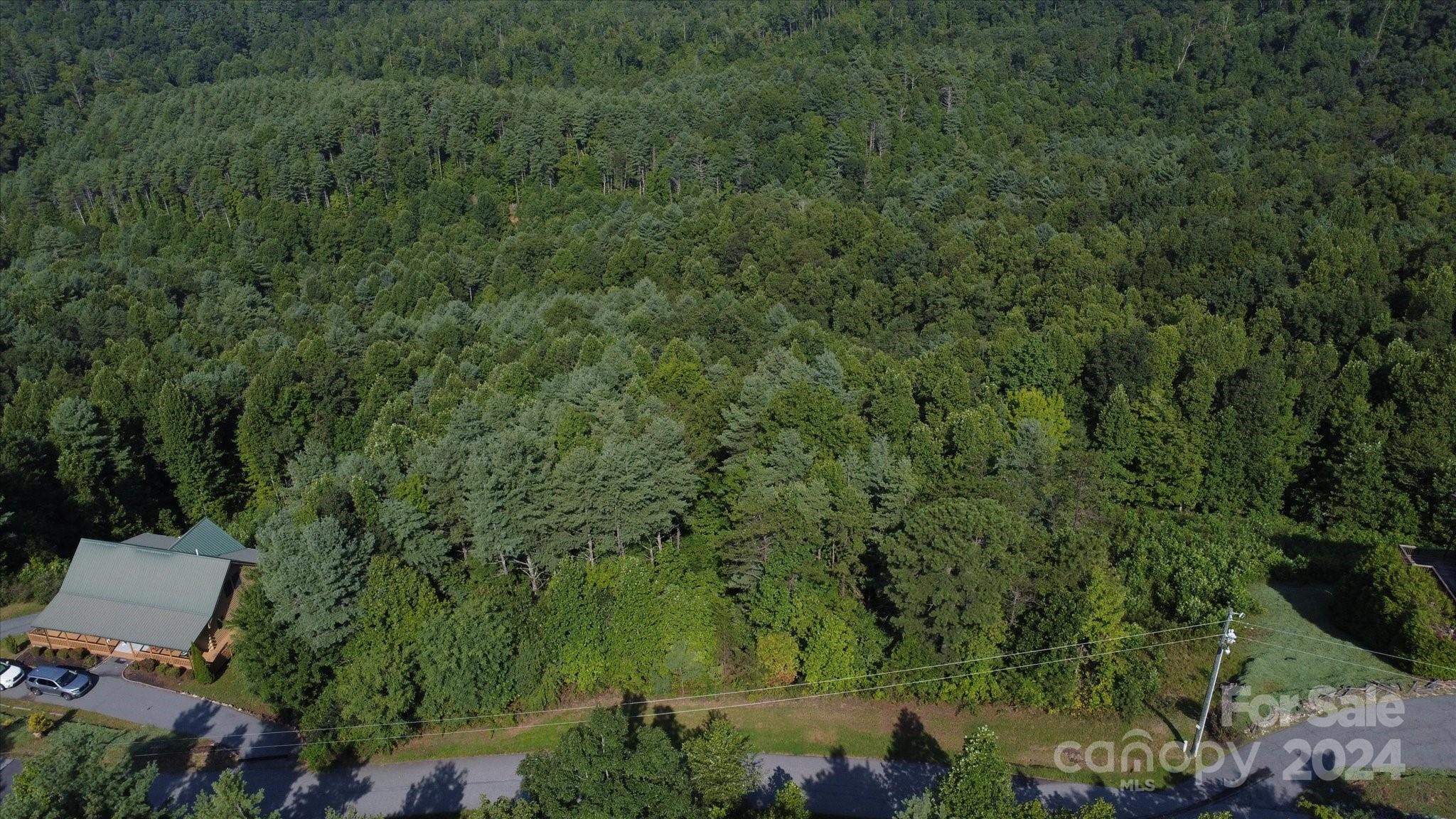 Forest Creek - Land