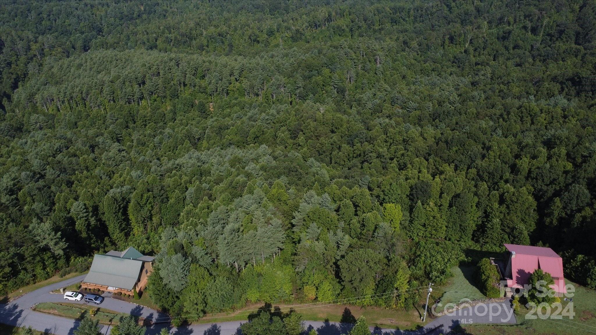 Forest Creek - Land