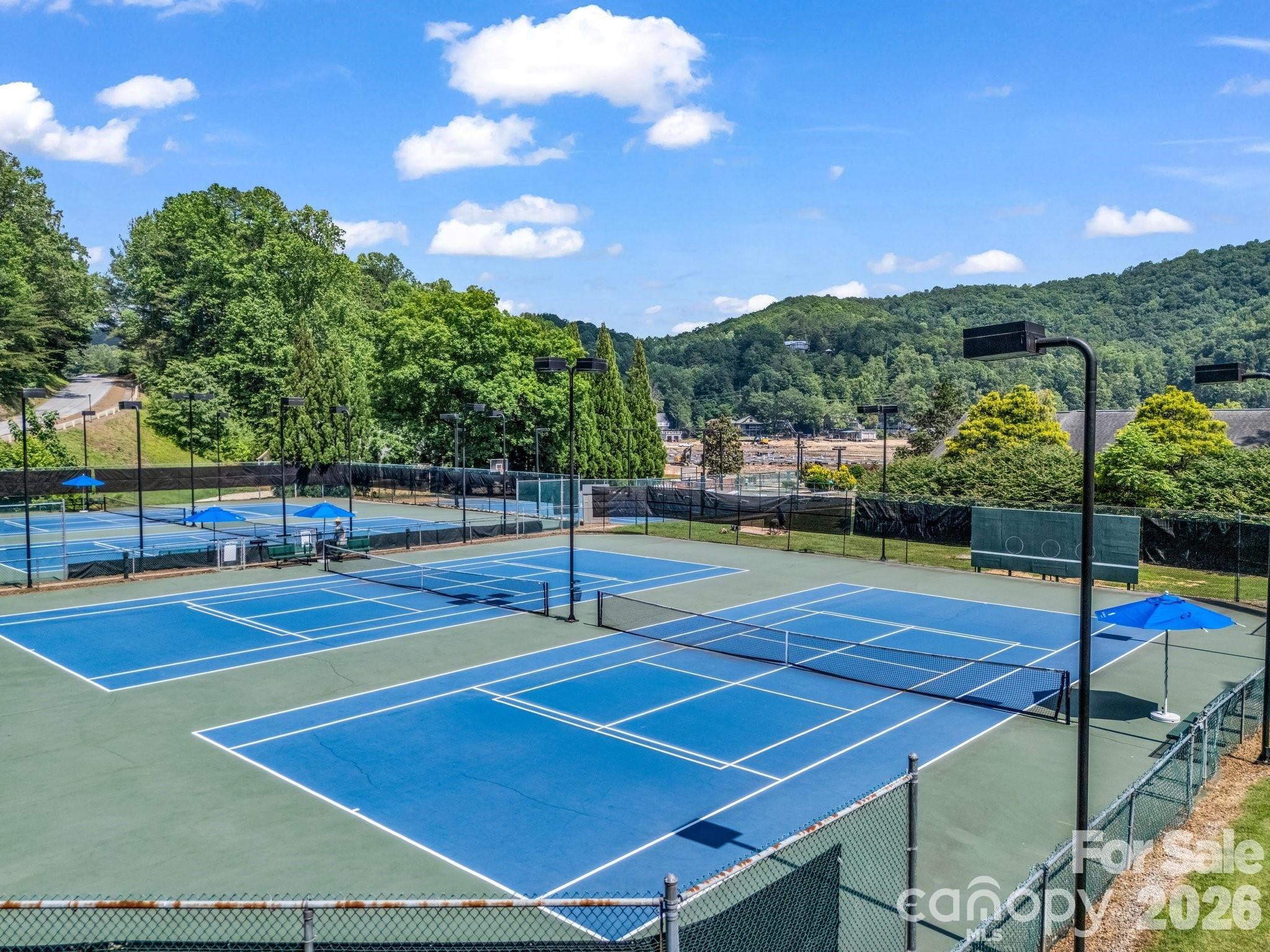 Rumbling Bald on Lake Lure - Residential