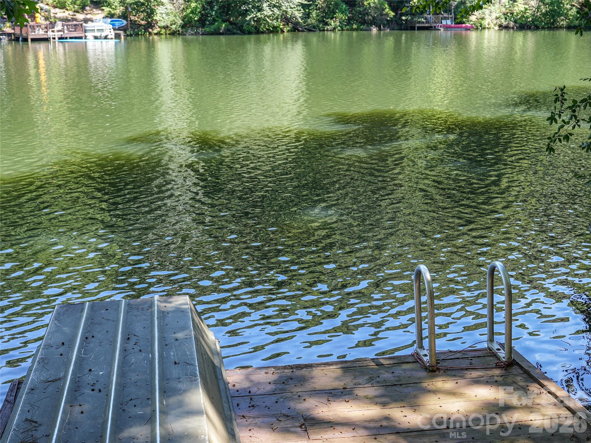 Rumbling Bald on Lake Lure - Residential