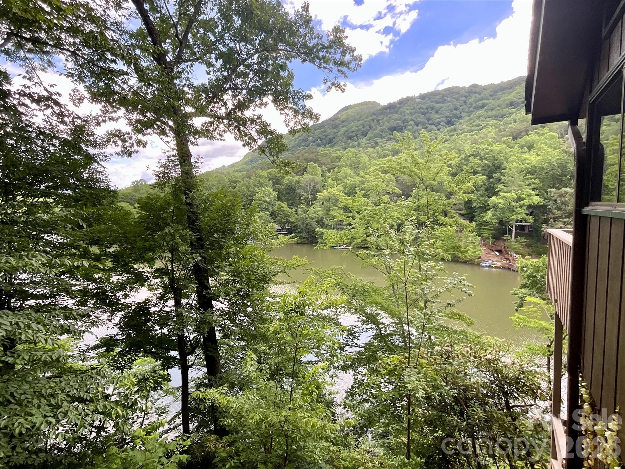 Rumbling Bald on Lake Lure - Residential