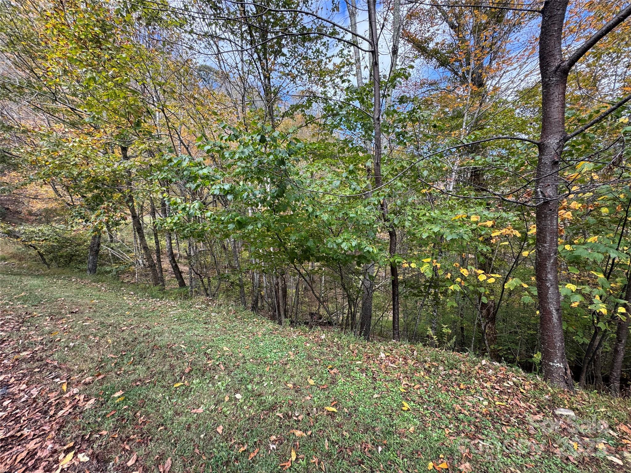 Step right up to living at high elevation in the Overlook Village section of Wolf Laurel.  This lot boasts extreme views to the East, and offers year round access on all paved roads, with street lights, underground utilities, and a community water supply.  The Wolf Laurel Resort offers an array of year round activities and amenities, by way of separate, paid membership.  These include, golf, ski slopes, fitness center, fish pond, tennis, pickle ball, heated swimming pool, event pavilion, and so forth.  Non brokers must be accompanied for sec gate.  Amenities are not included in HOA fees, but carry separate voluntary fees.