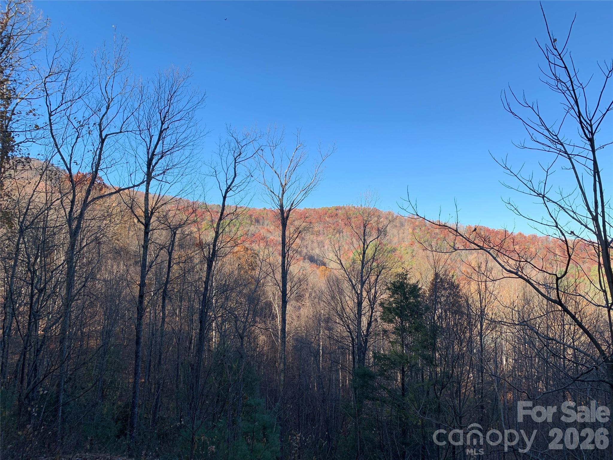 Grapevine Gap - Land