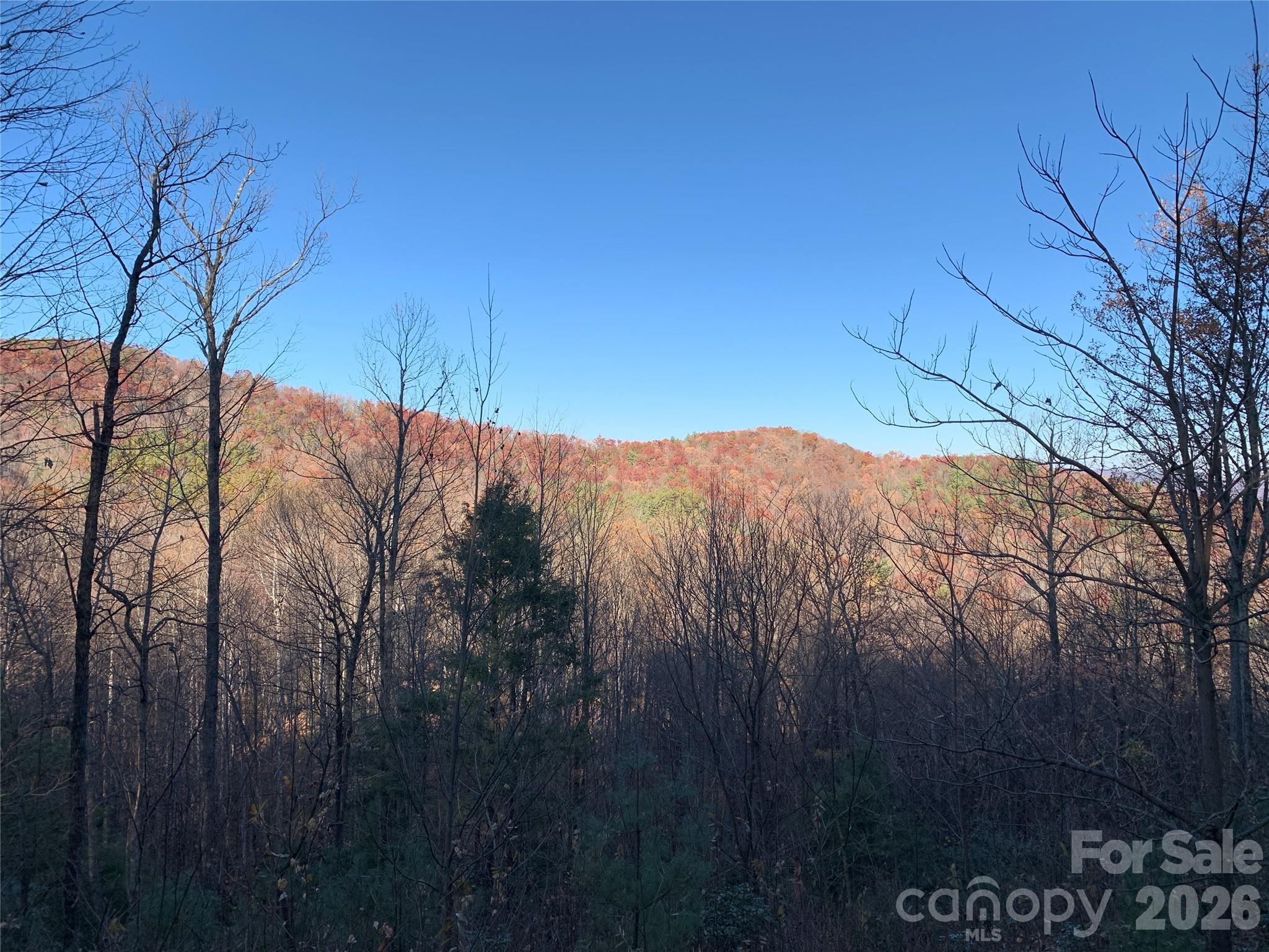 Grapevine Gap - Land