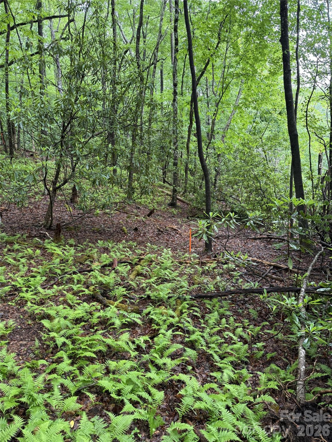 Discover the perfect canvas for your dream home or income producing short term rental on this expansive 2.55-acre parcel in the serene Stoney Brook subdivision. Surrounded by lush nature and tranquility, this exceptional lot offers a rare blend of privacy and convenience, making it an ideal retreat from the hustle and bustle while still being just minutes from downtown. 

A gently flowing stream meanders through the property, enhancing the peaceful ambiance and providing a picturesque natural feature that will inspire your outdoor living plans. Elevated areas promise stunning views, perfect for capturing breathtaking sunrises or sunsets from your future home.

This lot comes ready for building with a recorded survey and a 4-bedroom septic permit already approved, giving you a solid foundation for your project. The minimum build size is 1500 square feet, allowing ample space for a spacious, comfortable home tailored to your lifestyle.

Accessibility is simple and stress-free with a state-maintained road leading right to the property, ensuring year-round ease of travel. Whether commuting for work or heading into town for dining and shopping, you'll appreciate the blend of country living and urban convenience.

Nature lovers will relish the peaceful setting surrounded by mature trees and abundant wildlife, offering endless opportunities for outdoor activities like hiking, bird-watching, or simply enjoying quiet moments in a private haven.

Don’t miss the chance to build your ideal home in this sought-after location where natural beauty meets practical living. Whether you’re envisioning a cozy family residence or a luxurious retreat, this 2.55-acre gem in Stoney Brook subdivision is ready to welcome you.

Contact us today to explore this unique property and start turning your dream into reality.