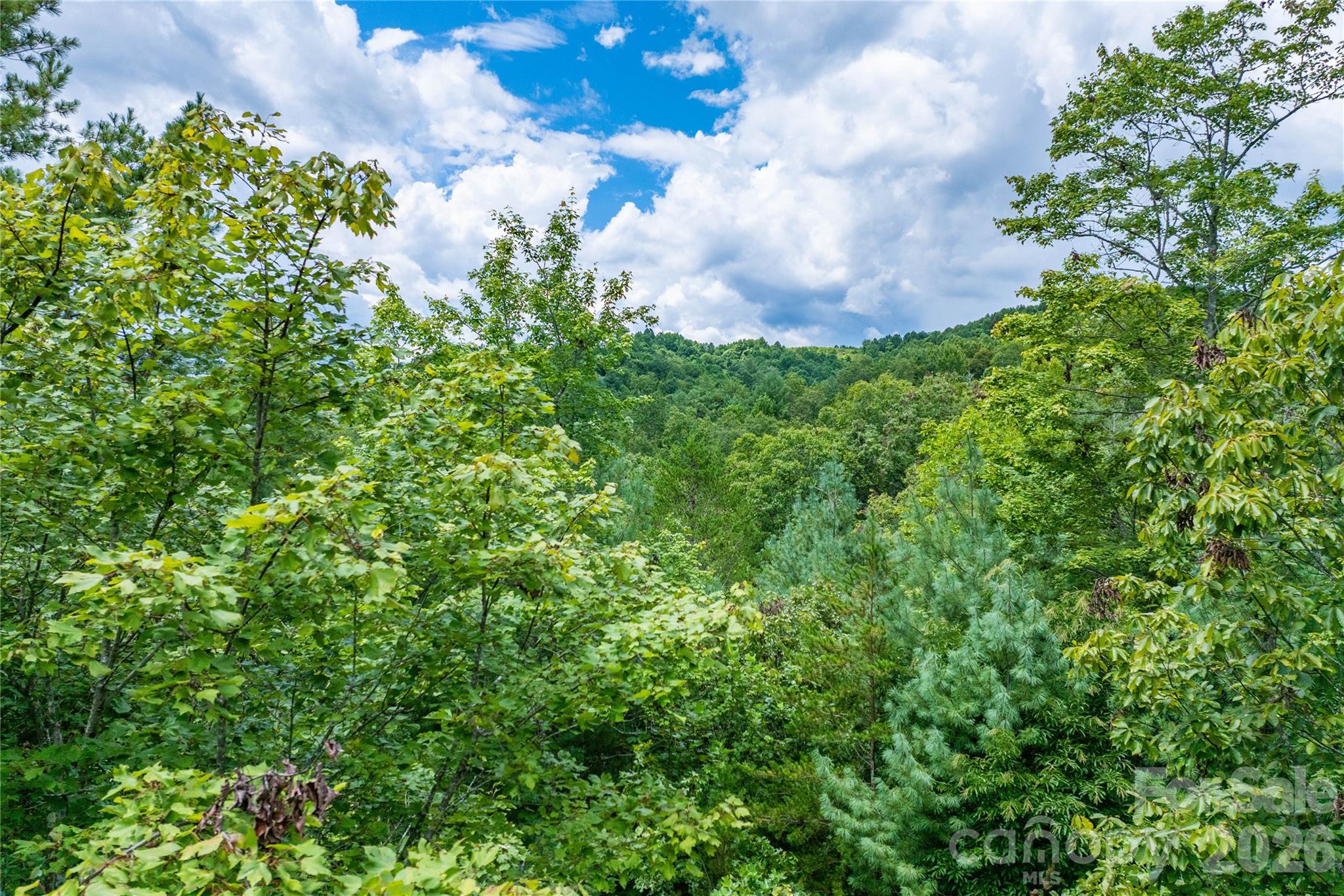 The Coves Mountain River Club - Land