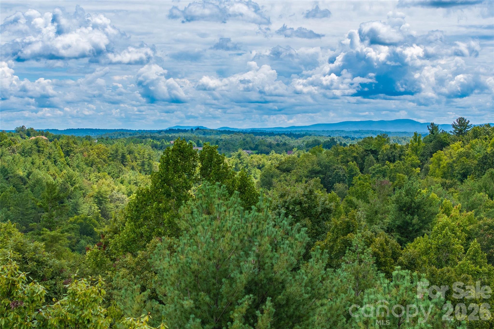 !! YOUR FIRST YEAR HOA FEES OF TO BE PAID BY SELLER !!  Discover the perfect blend of privacy and convenience with this 5.5-acre wooded homesite in The Coves Mountain River Club, a premier gated community in the Blue Ridge Mountains. Offering southern-facing views of the South Mountain Range, this homesite is ideally situated near the community’s stunning Pisgah Mountain Lodge clubhouse.

The land features a gentle, walkable slope and a very buildable homesite, making it an excellent option for a home design with a walkout basement. Adding to its natural beauty, the property includes nearly 280 feet of meandering stream frontage, providing both charm and tranquility.

This homesite offers the best of mountain living: seclusion among the trees, breathtaking views, and close proximity to world-class amenities—including the clubhouse, swimming pool, fitness center, equestrian facilities, hiking trails, and river access.