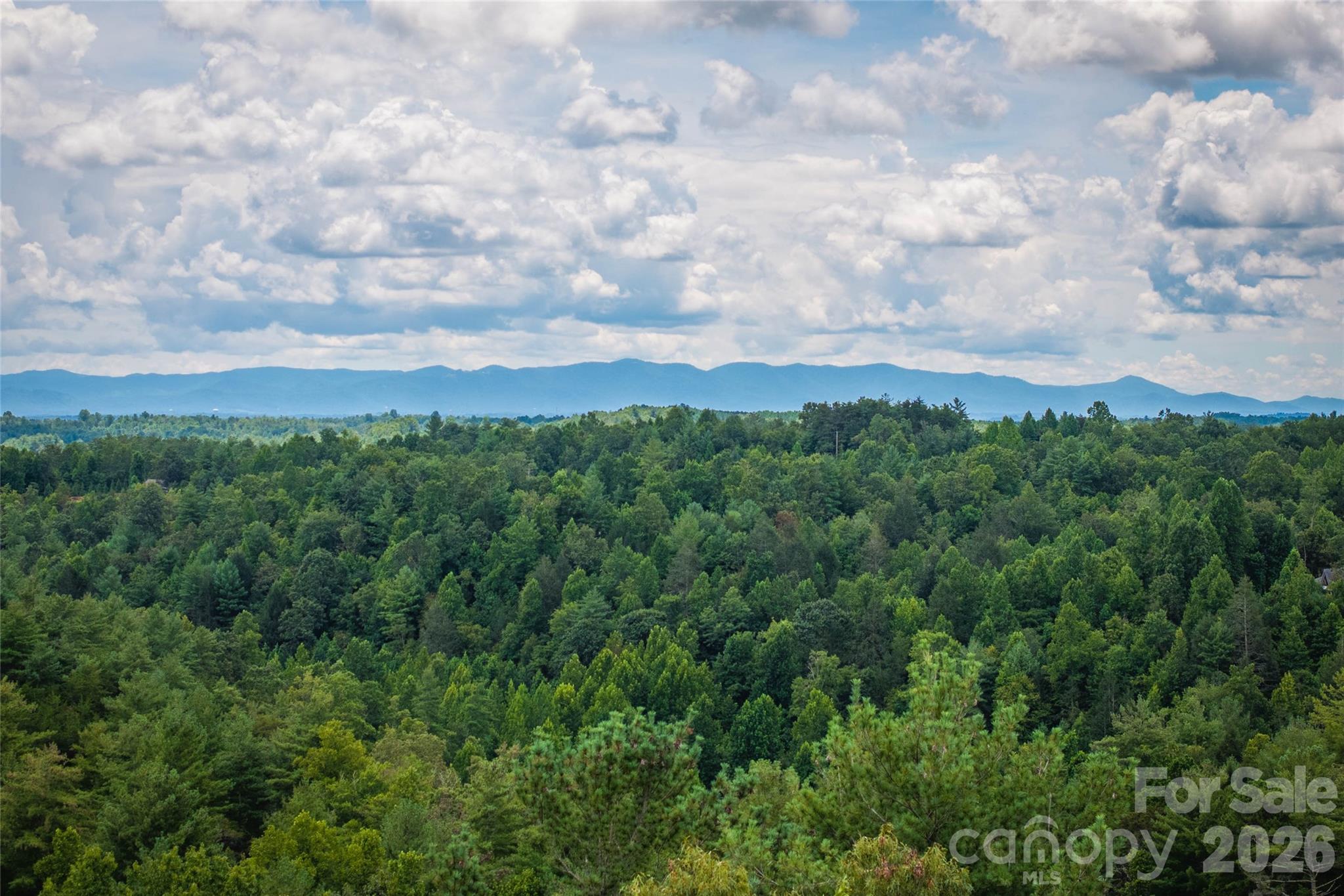 The Coves Mountain River Club - Land