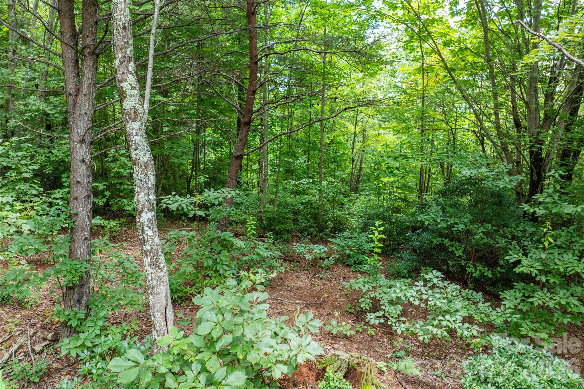 The Coves Mountain River Club - Land