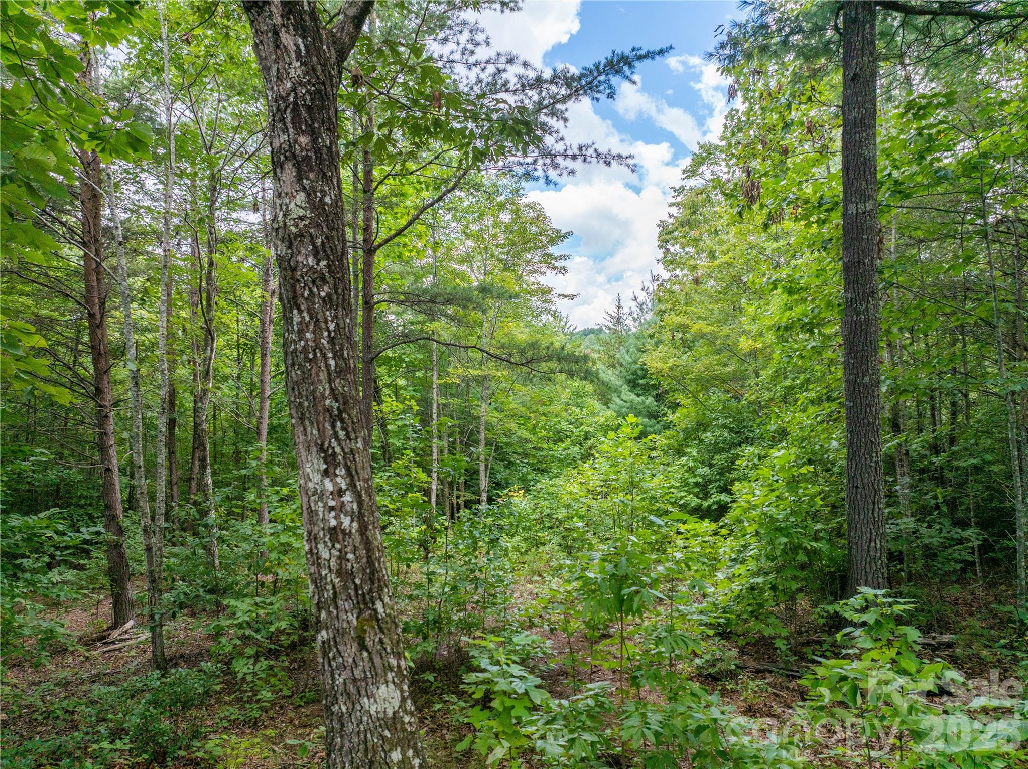 The Coves Mountain River Club - Land