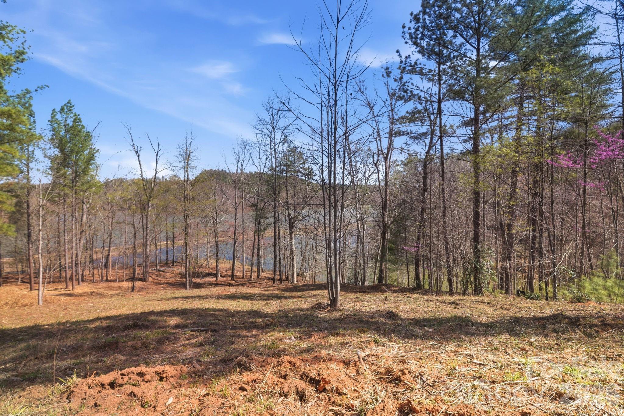 Lake Rhodhiss Estates - Land