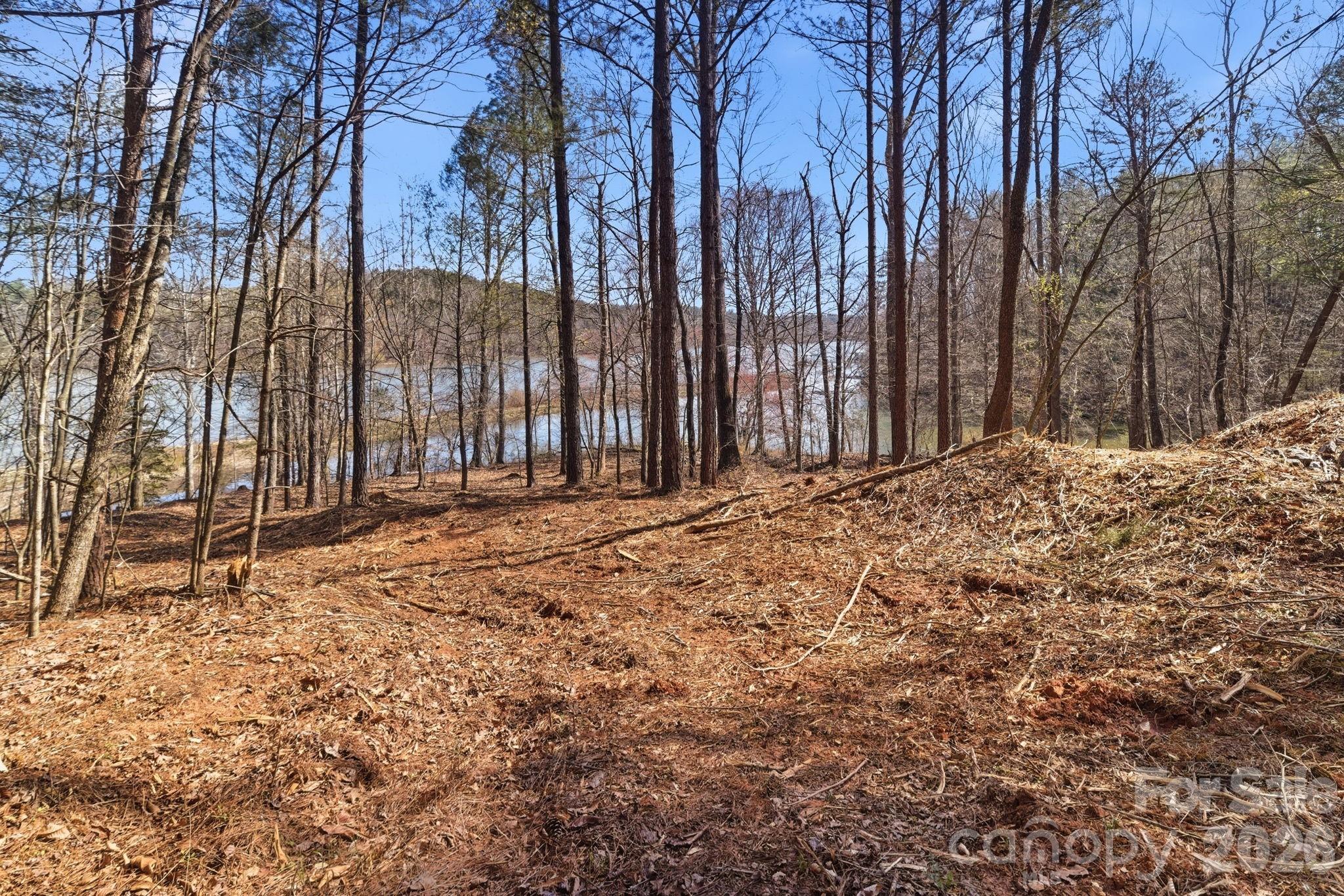 Lake Rhodhiss Estates - Land