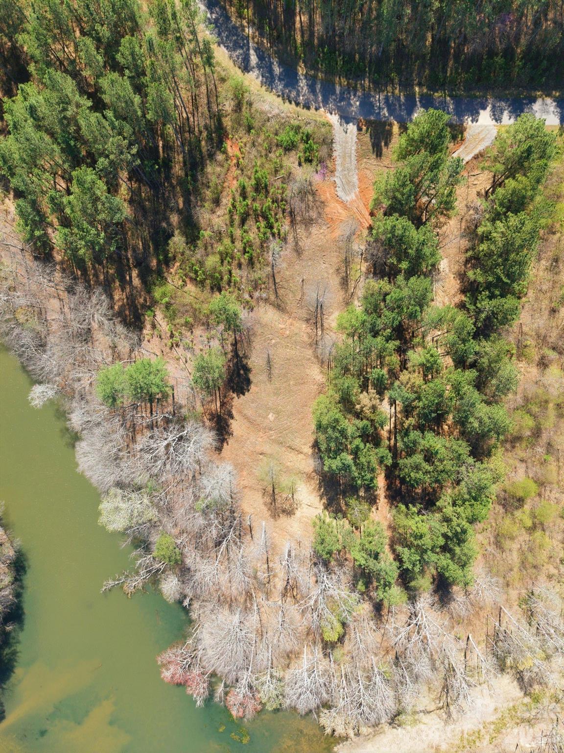 Lake Rhodhiss Estates - Land