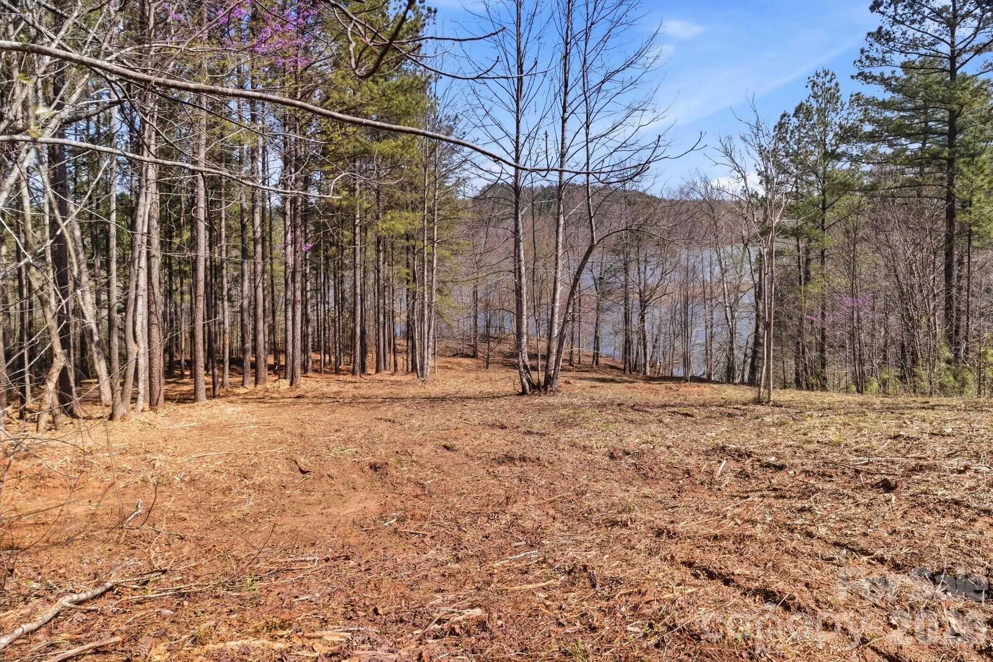 Lake Rhodhiss Estates - Land