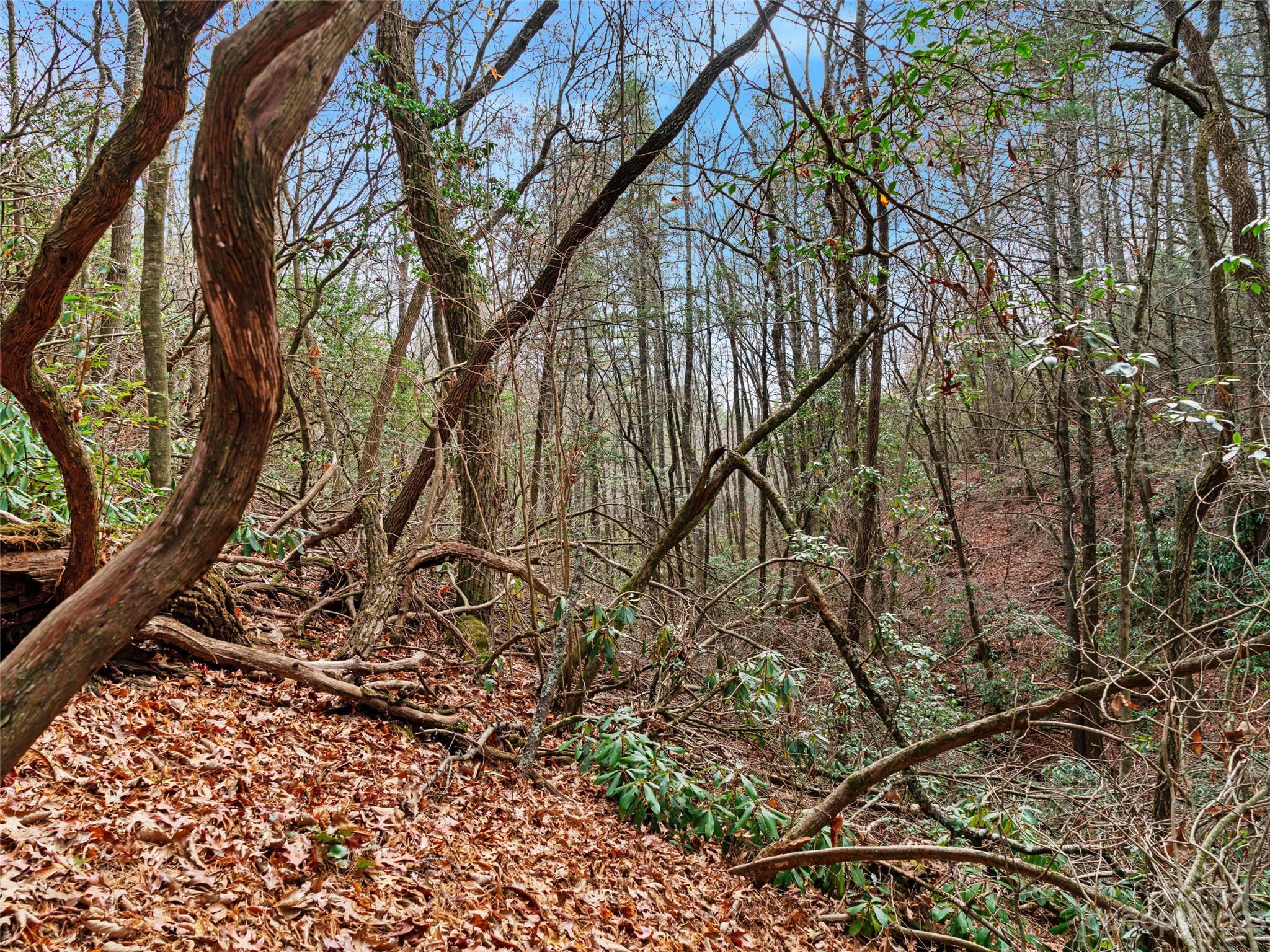 Bear Den Acres - Land