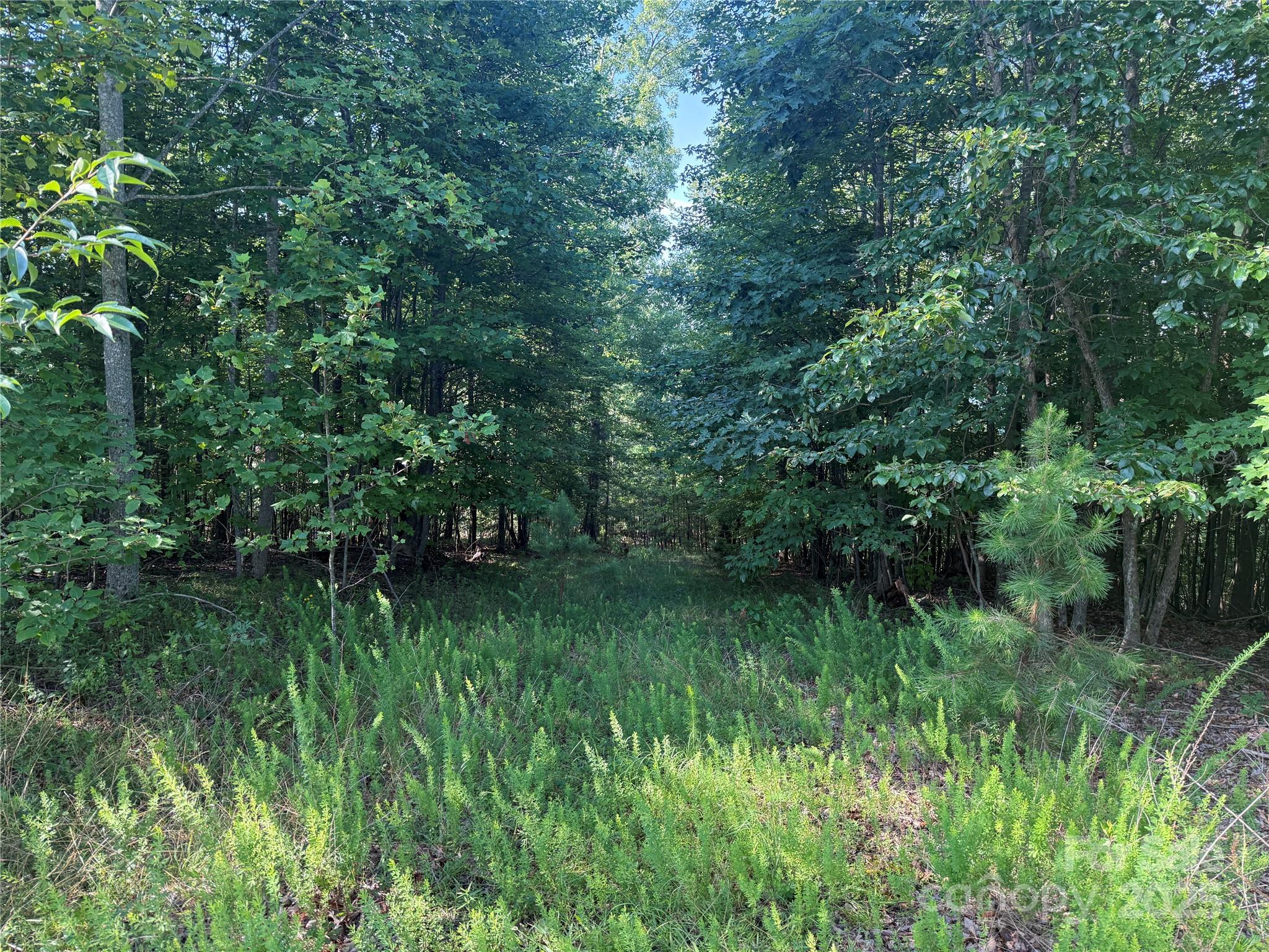 Grandview Peaks - Land